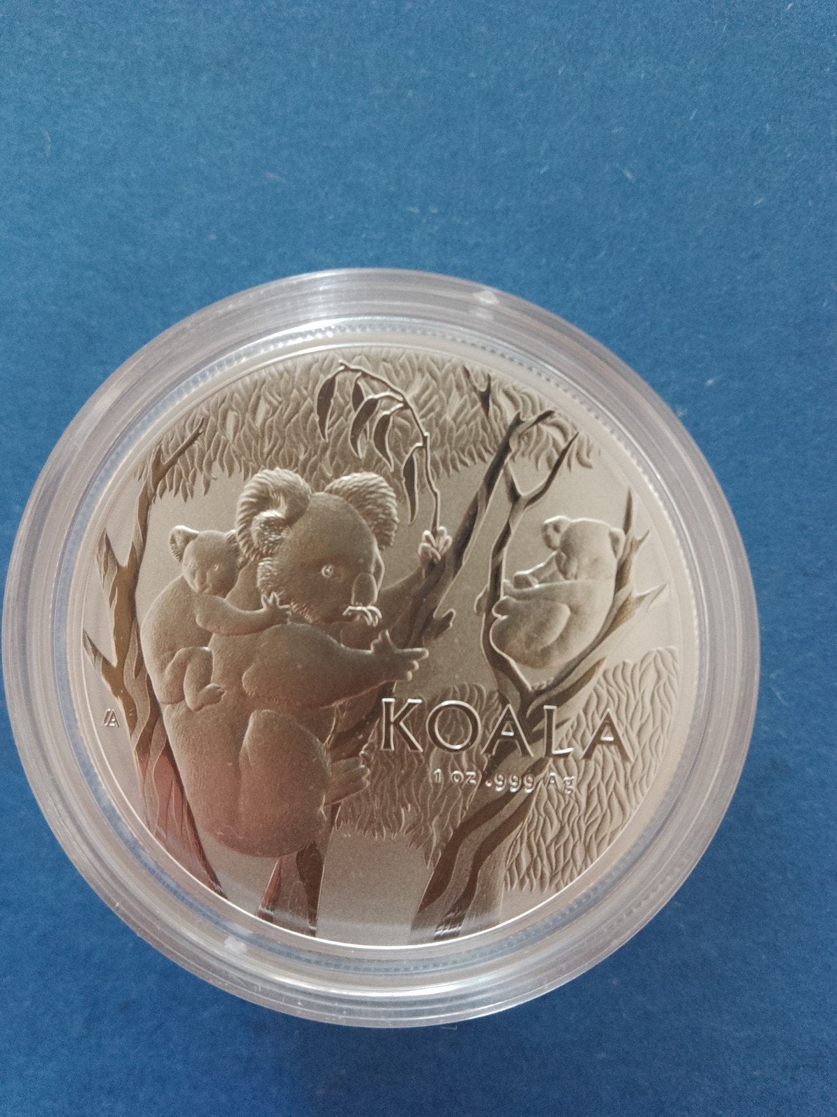 RAM koala 2026 1 oz zilver, Ophalen of Verzenden, Zilver