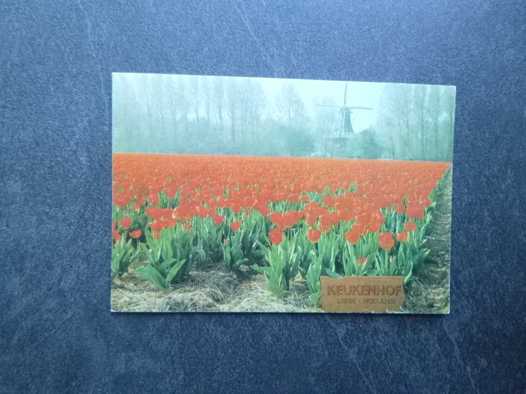 Lisse, Keukenhof /molen/tulpen, Verzenden, 1980 tot heden, Ongelopen, Noord-Brabant