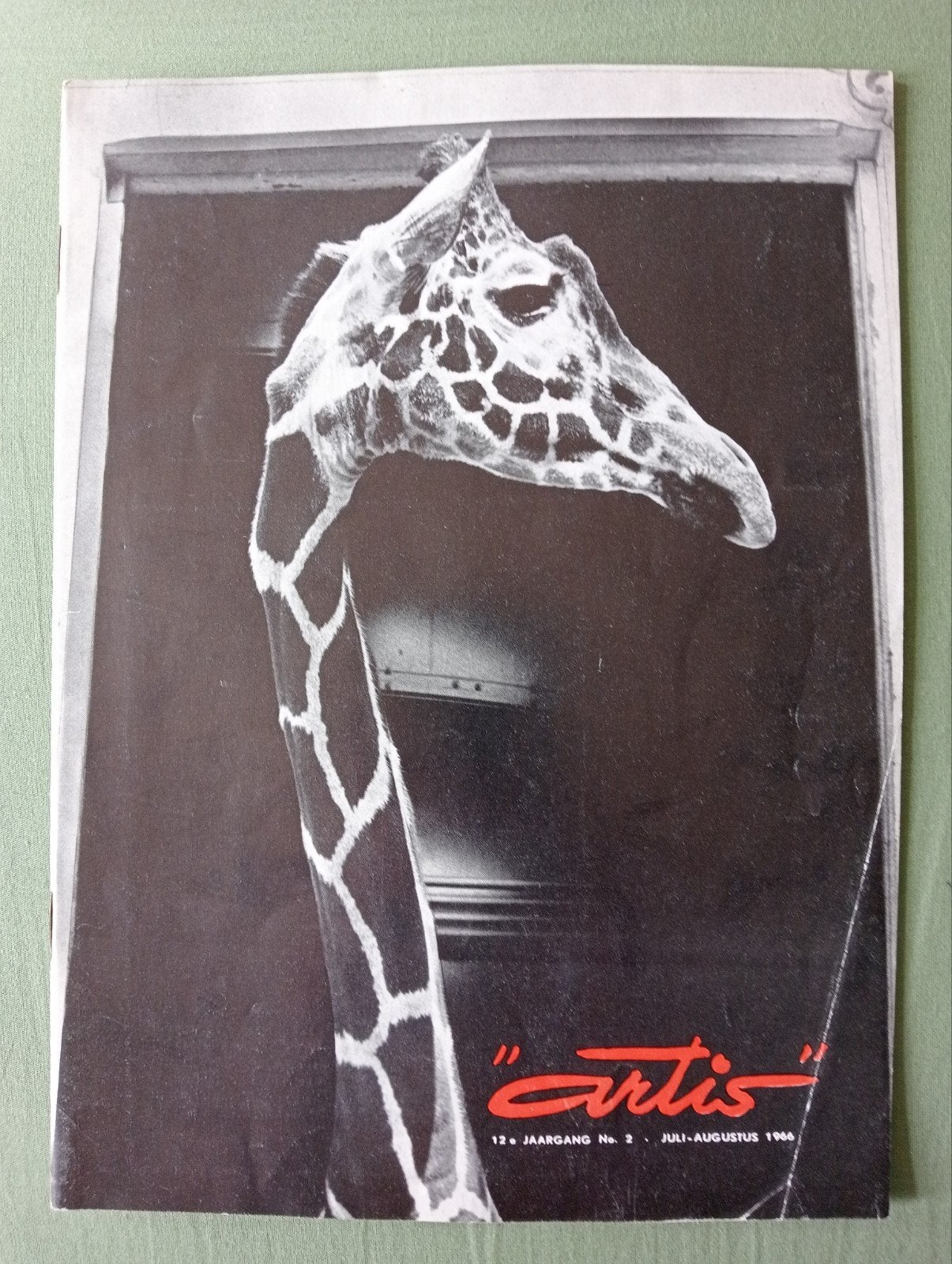 Artis Magazine Juli-Augustus 1968 - Netgiraffe, Verzenden, Gelezen, Overige typen