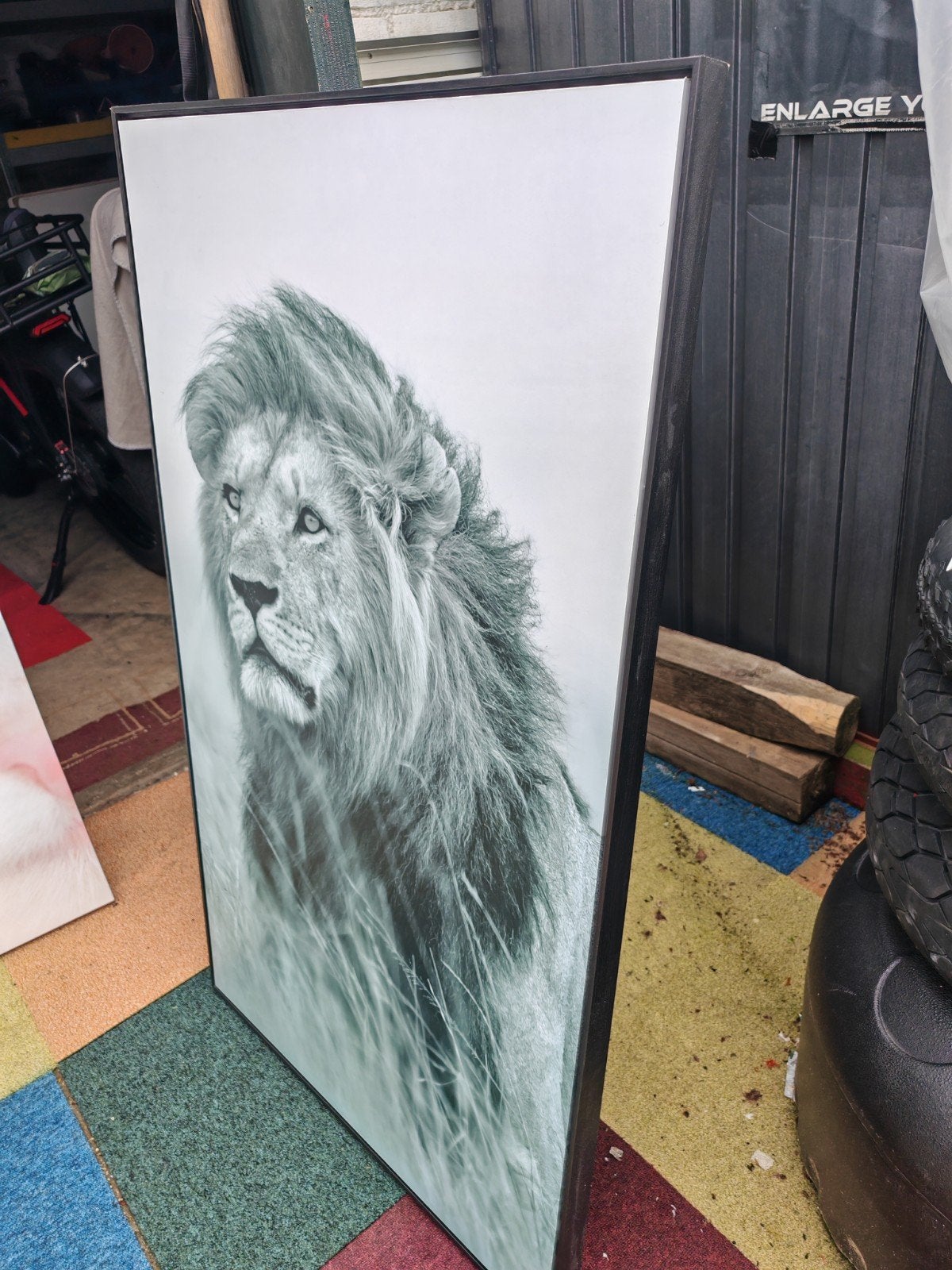 Leeuw foto, Ophalen of Verzenden, Zo goed als nieuw, Schilderij