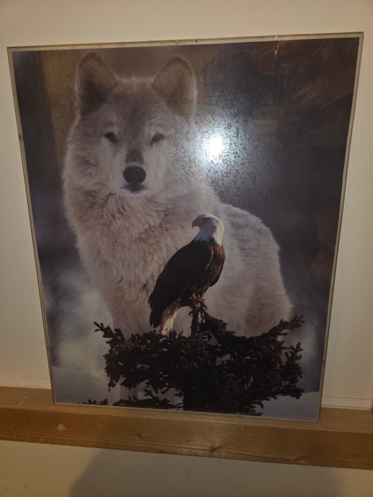 gratis foto in lijst, Huis en Inrichting, Woonaccessoires | Schilderijen, Tekeningen en Foto's, Ophalen, Minder dan 50 cm, Foto of Poster