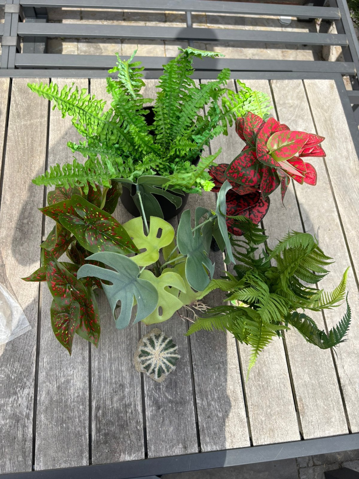Terrarium/aquarium nep planten, Dieren en Toebehoren, Ophalen of Verzenden, Zo goed als nieuw, Plant(en), Steen of Hout