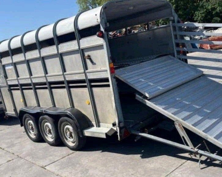 IFOR WILLIAMS TRAILERSLM6/7TRI, Ophalen, Gebruikt