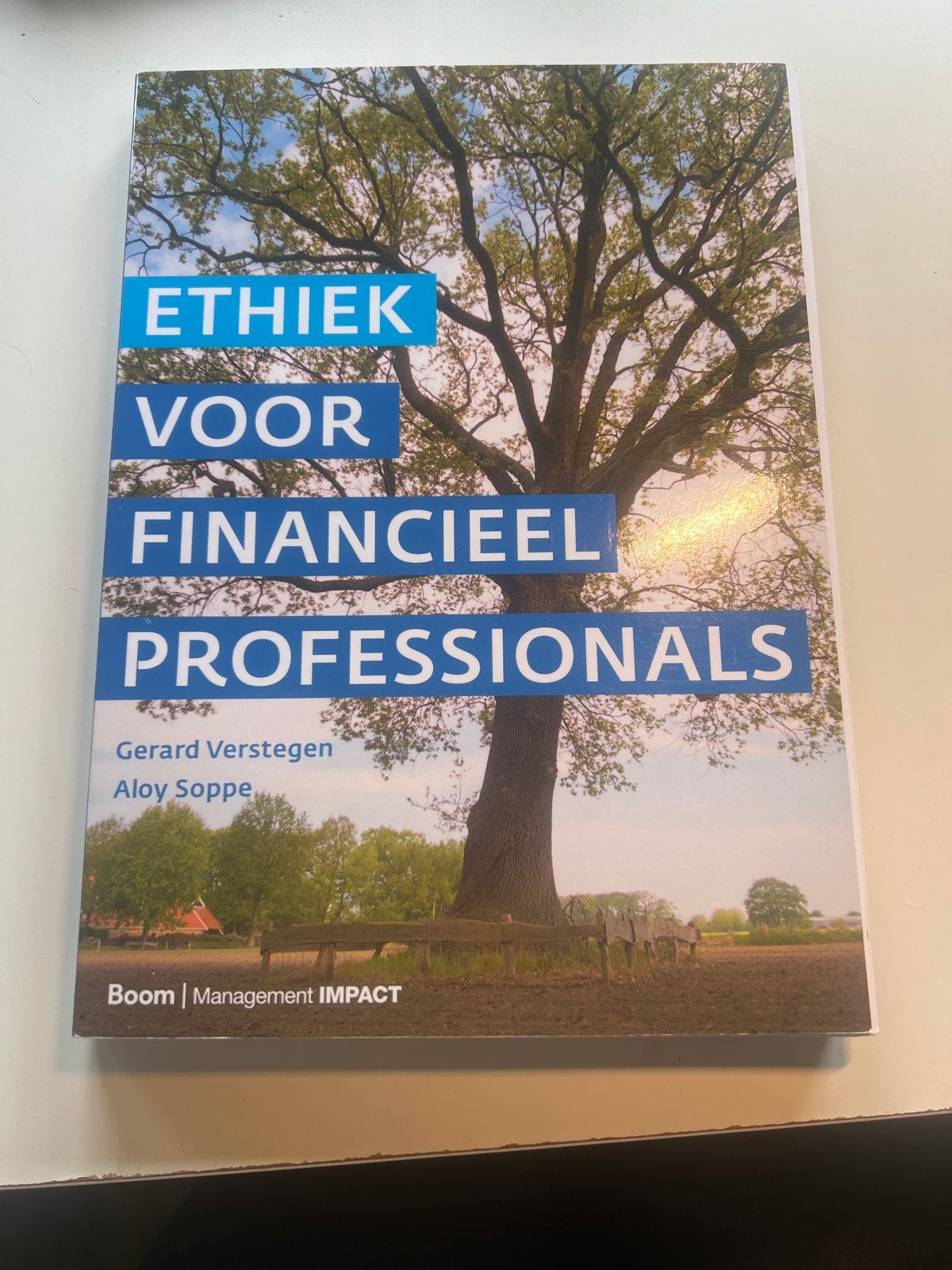 Aloy Soppe - Ethiek voor financieel professionals, Sociale wetenschap, Ophalen of Verzenden, Zo goed als nieuw, Aloy Soppe; Gerard Verstegen