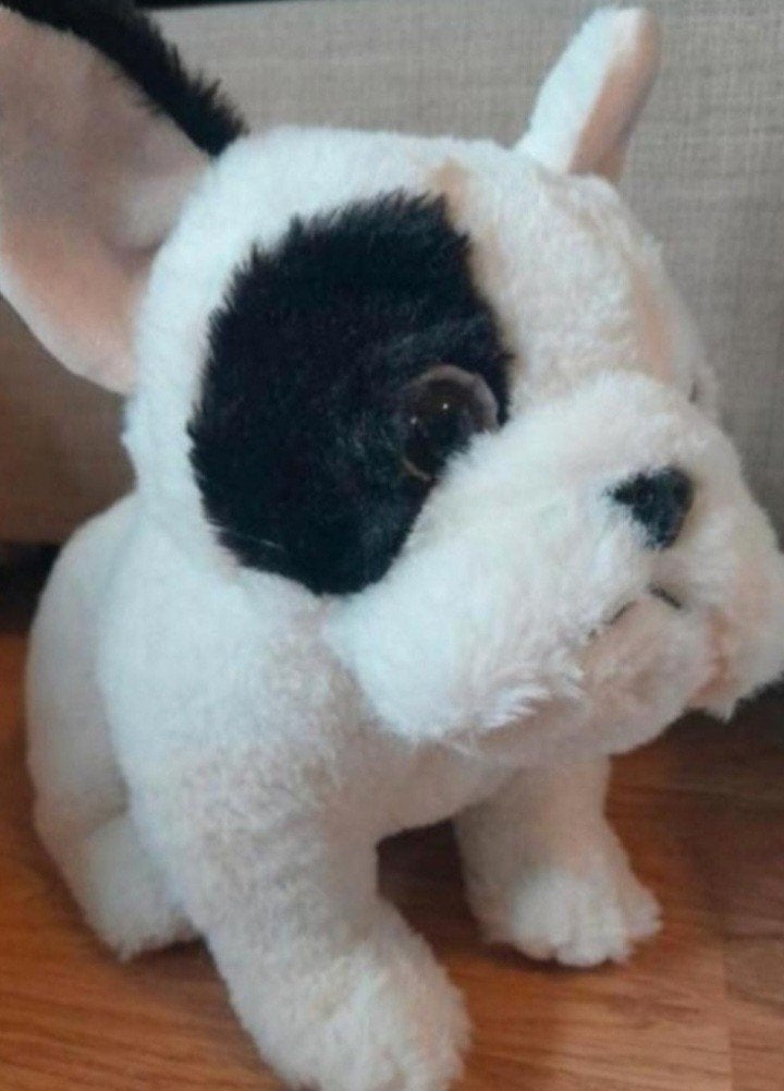 Franse buldog knuffel hond van Sunkid ZGAN, Overige merken, Zo goed als nieuw, Middelgroot (20 tot 80 cm), Hond