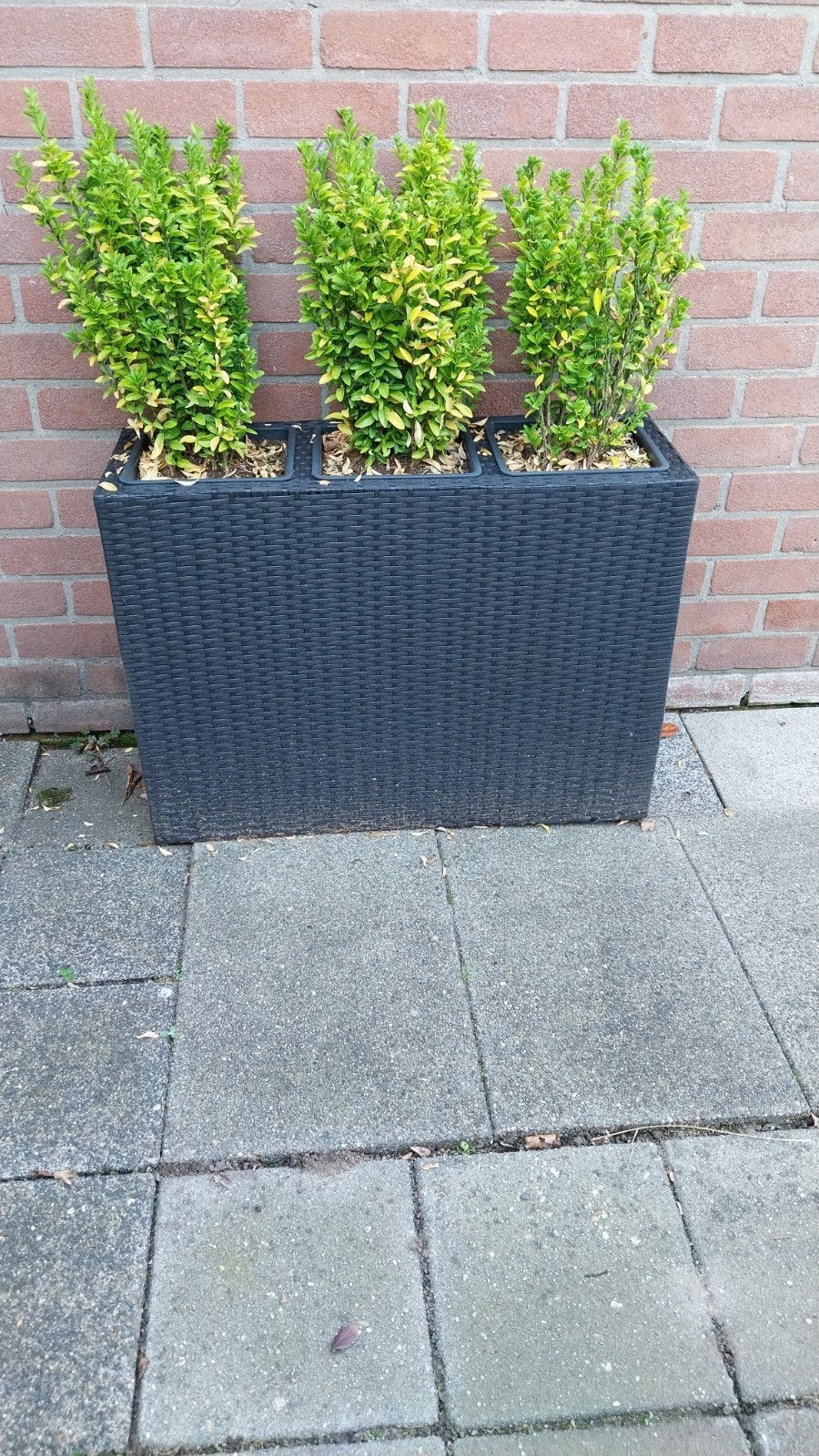 2 zwarte kunststof plantenbak met 3 vakken, Tuin en Terras, Ophalen, Gebruikt, Kunststof, Balkon