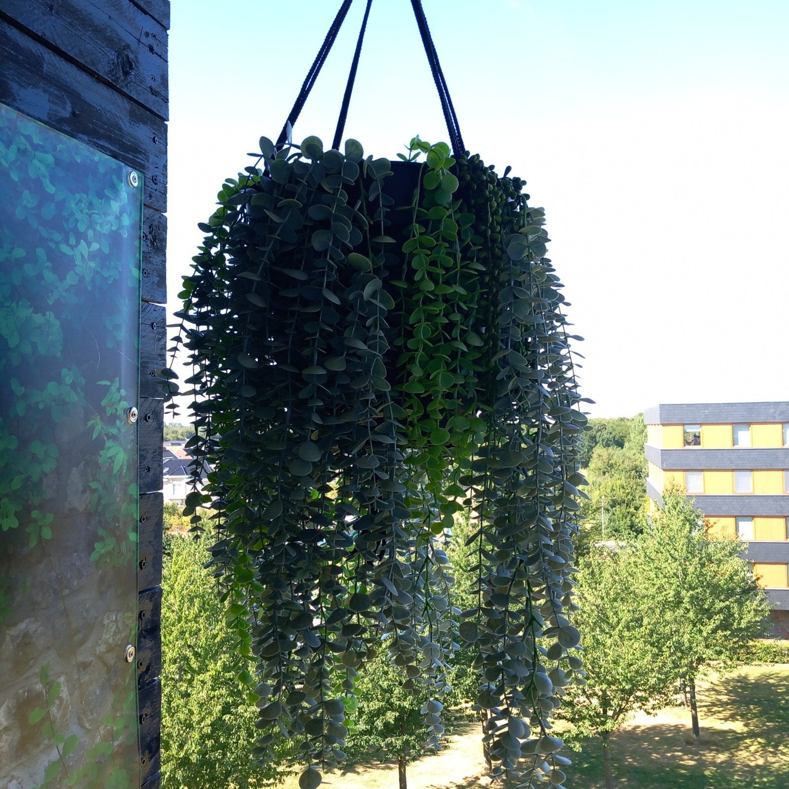 KUNST hangplant, Ophalen, Gebruikt