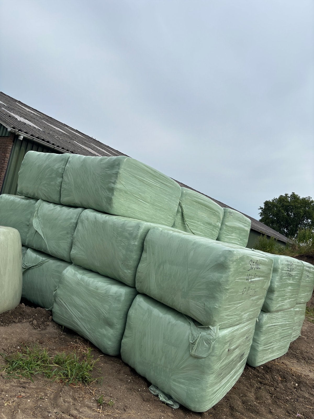 Voordrooghooi te koop, Dieren en Toebehoren, Dierenvoeding, Ophalen, Vee