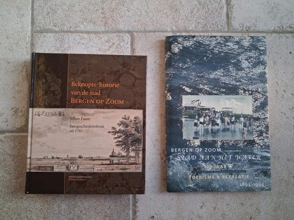 Beknopte historie van de stad Bergen op Zoom, Boeken, Geschiedenis | Stad en Regio, Ophalen of Verzenden, Zo goed als nieuw