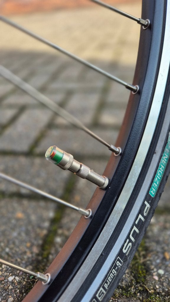 Foto 7 van E-bike Lugano Elo de Luxe (accu 720 watt)