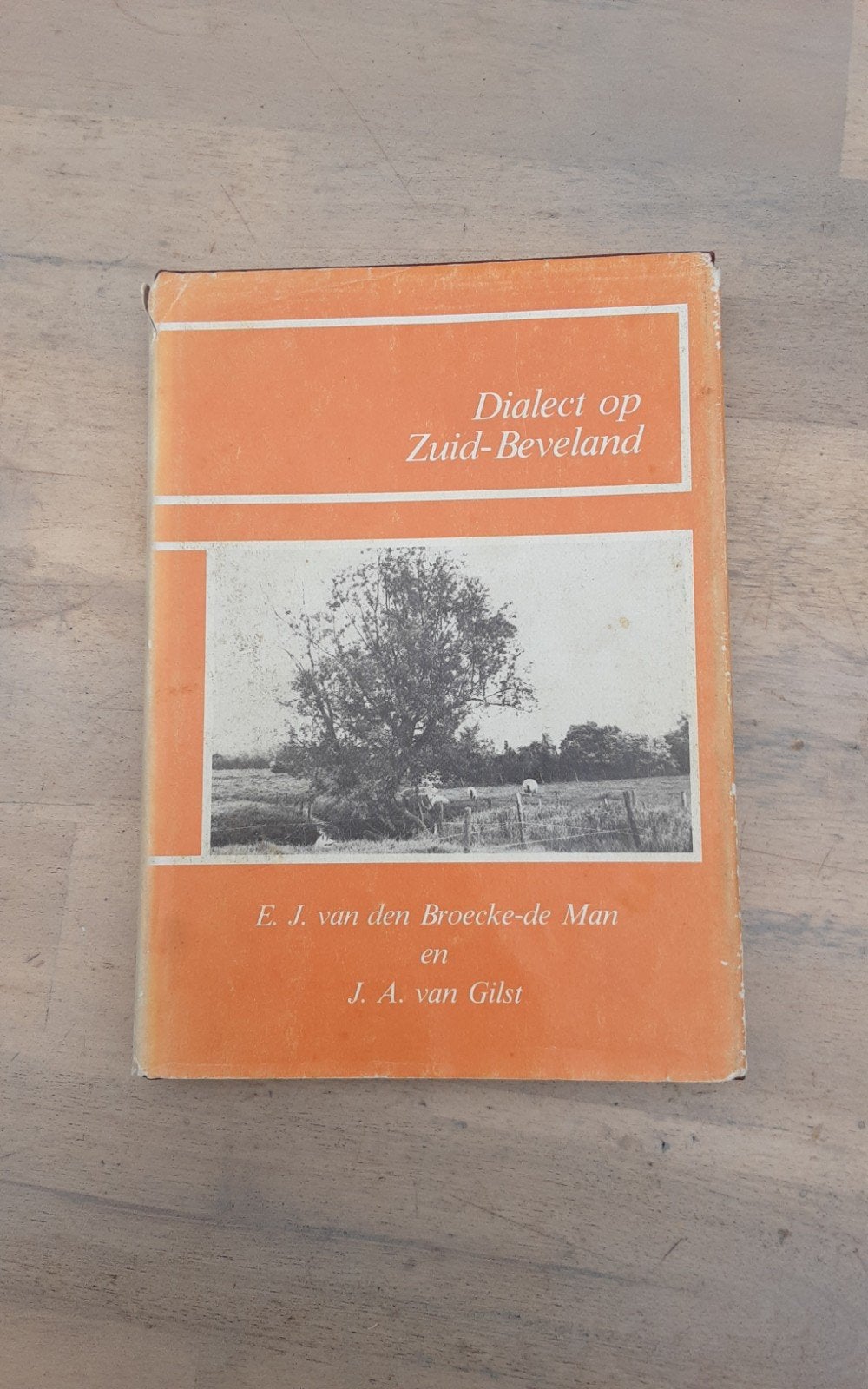 Dialect op Zuid-Beveland - E.J. van den Broecke-de Man, Boeken, Ophalen of Verzenden, Gelezen, E.J. van den Broecke-de Man en J.A. van Gilst