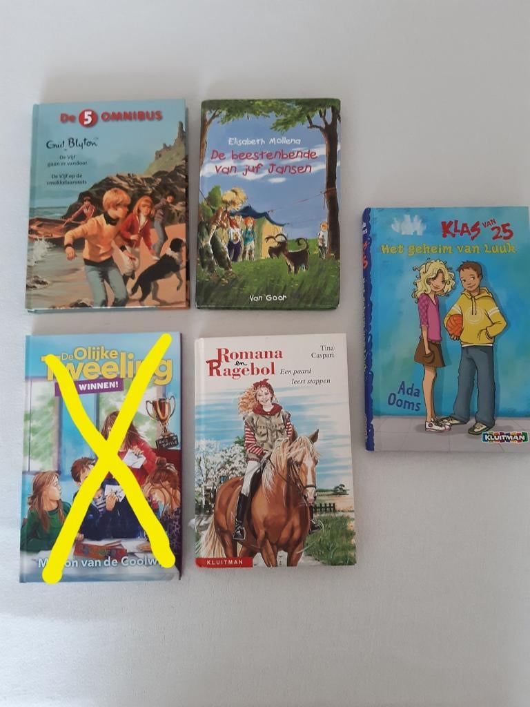 4 verschillende meisjes boeken, Boeken, Kinderboeken | Jeugd | 10 tot 12 jaar, Ophalen of Verzenden, Zo goed als nieuw, Fictie