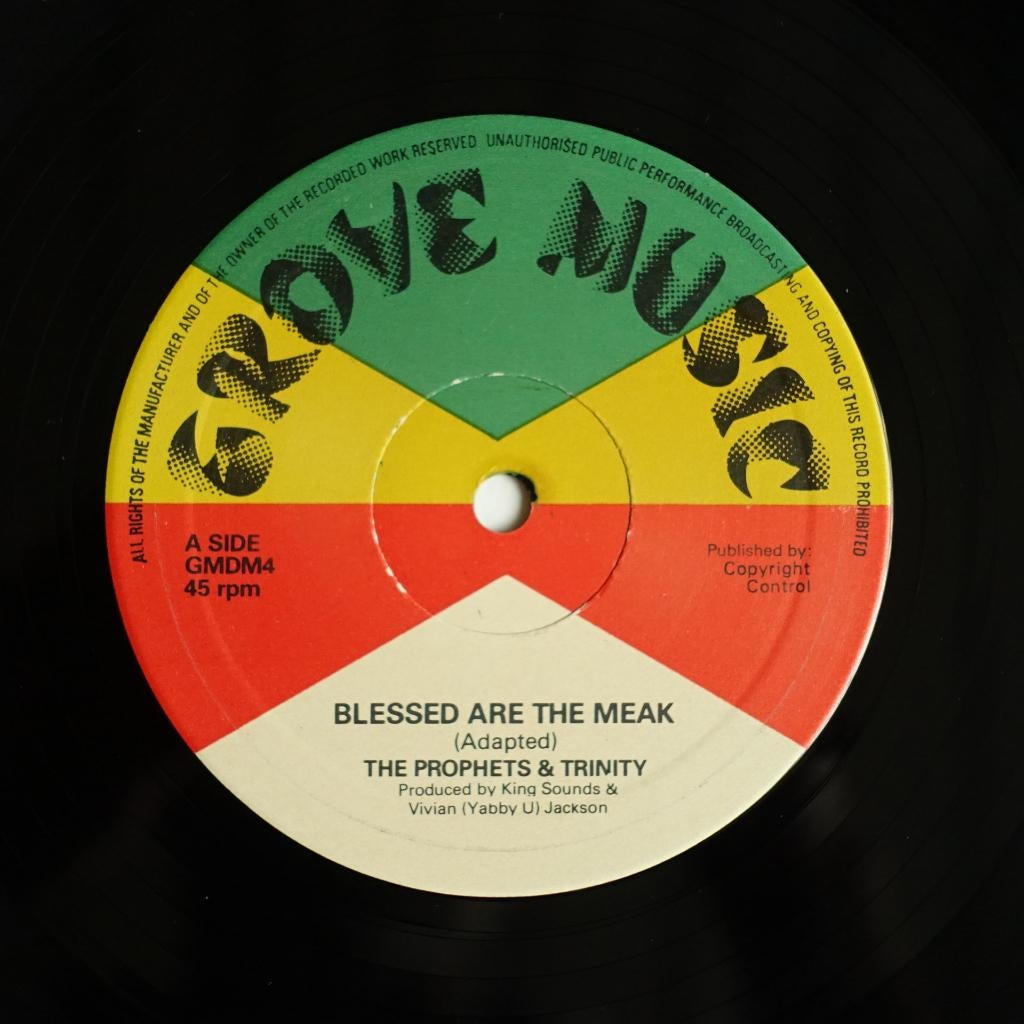 The Prophets & Trinity + Tommy McCook 12'' single, Ophalen of Verzenden, Zo goed als nieuw, 12 inch