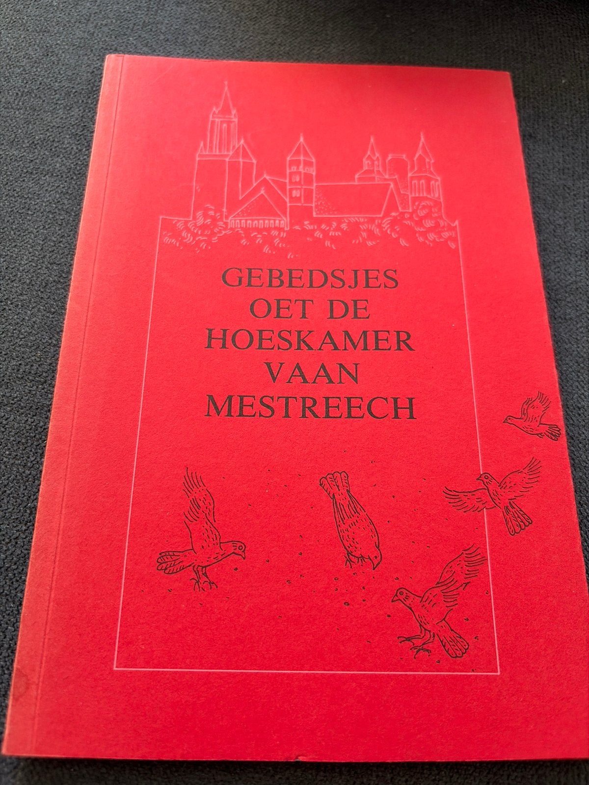 Gebedsjes Oet De Hoeskamer Vaam Mestreech, Ophalen of Verzenden, Gelezen, Spiritualiteit algemeen, Verhaal of Roman