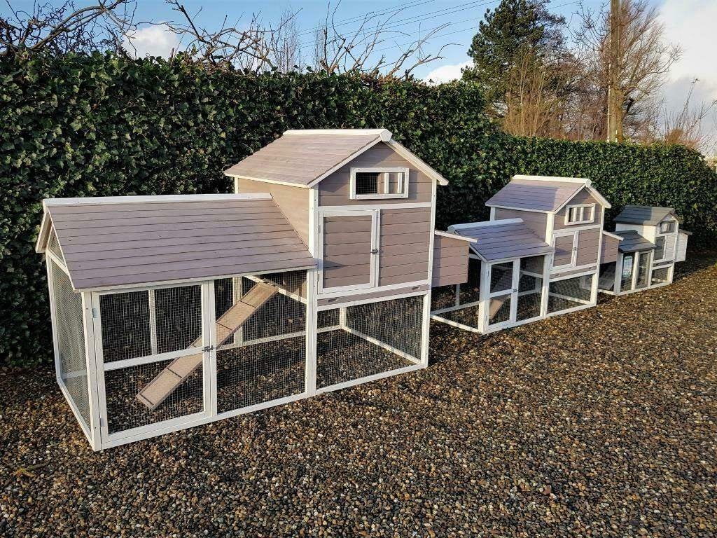 Kippenhok Eggy XL | Dierenverblijf | Bouwpakket | Korting, Ophalen of Verzenden, Nieuw, Kippenhok of Kippenren