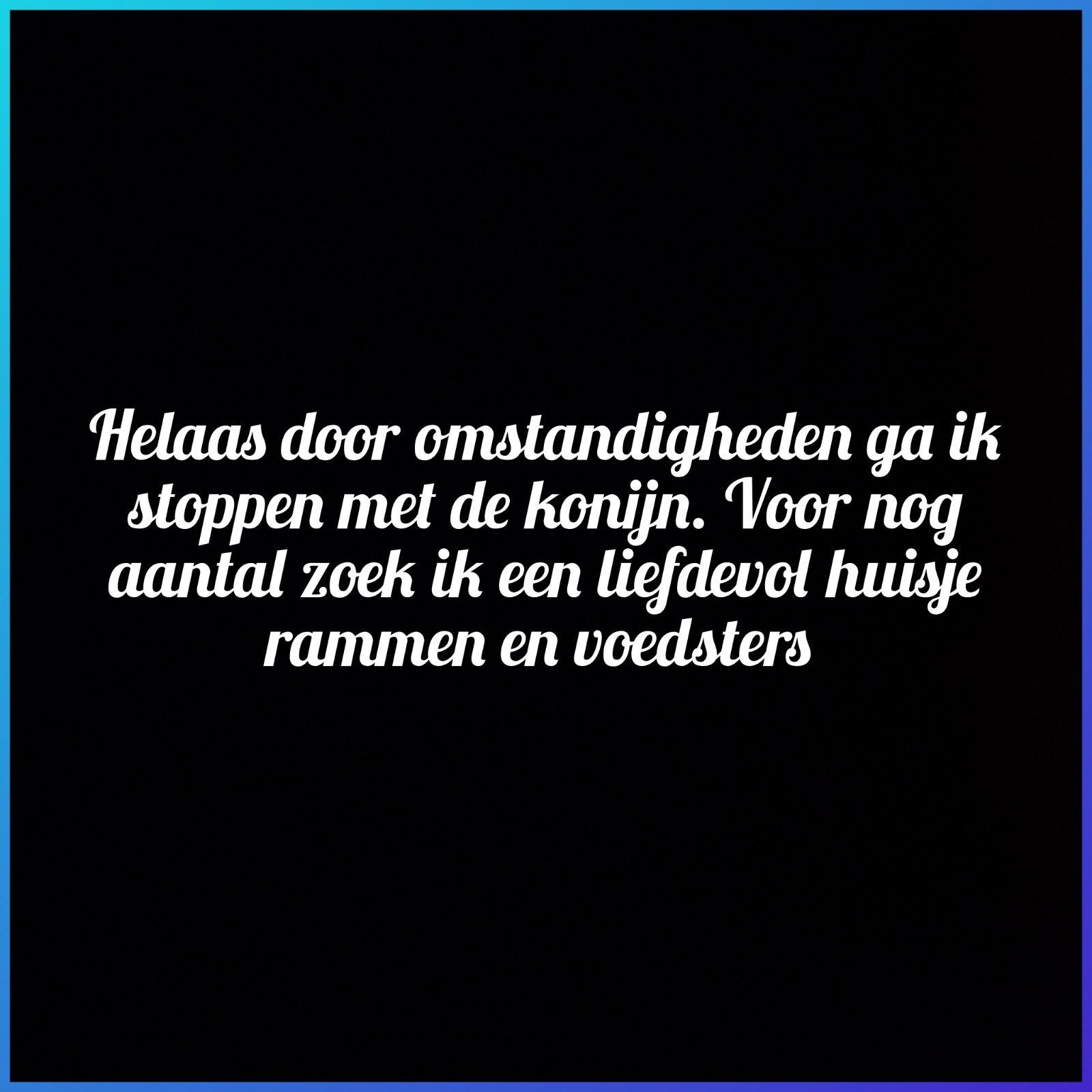 meerdere konijnen die een liefdevol huisje zoeken, Dieren en Toebehoren, Meerdere dieren, Groot, Hangoor