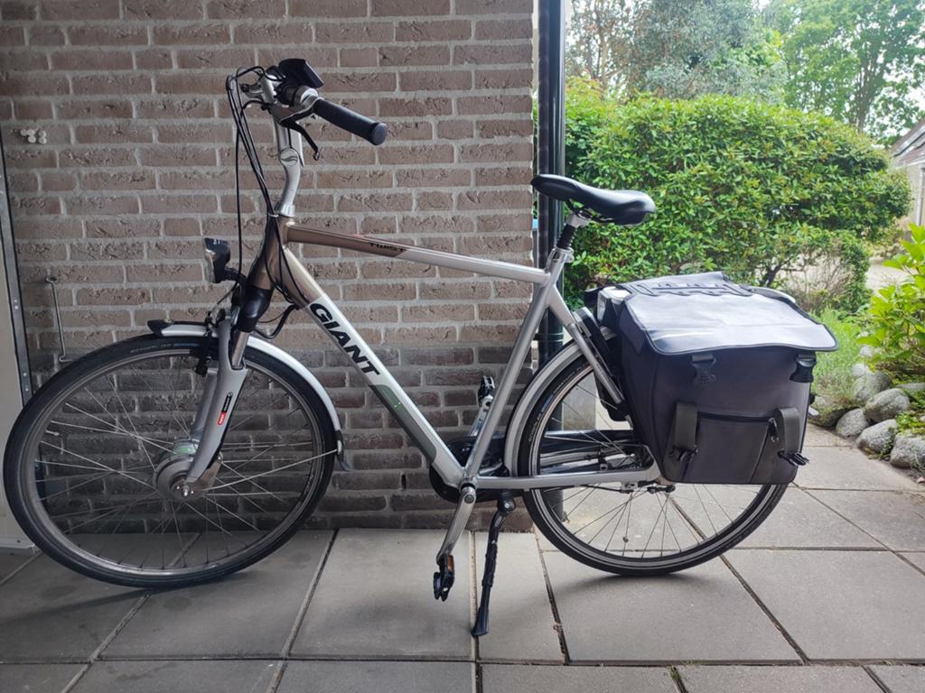 Giant Twist Go Double elektrische fiets, Fietsen en Brommers, Elektrische fietsen, Ophalen, Gebruikt, Giant, 59 cm of meer