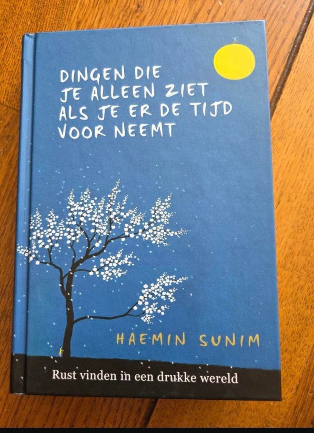 Haemin Sunim - dingen die je alleen ziet als je er de tijd, Ophalen of Verzenden, Nieuw, Haemin Sunim