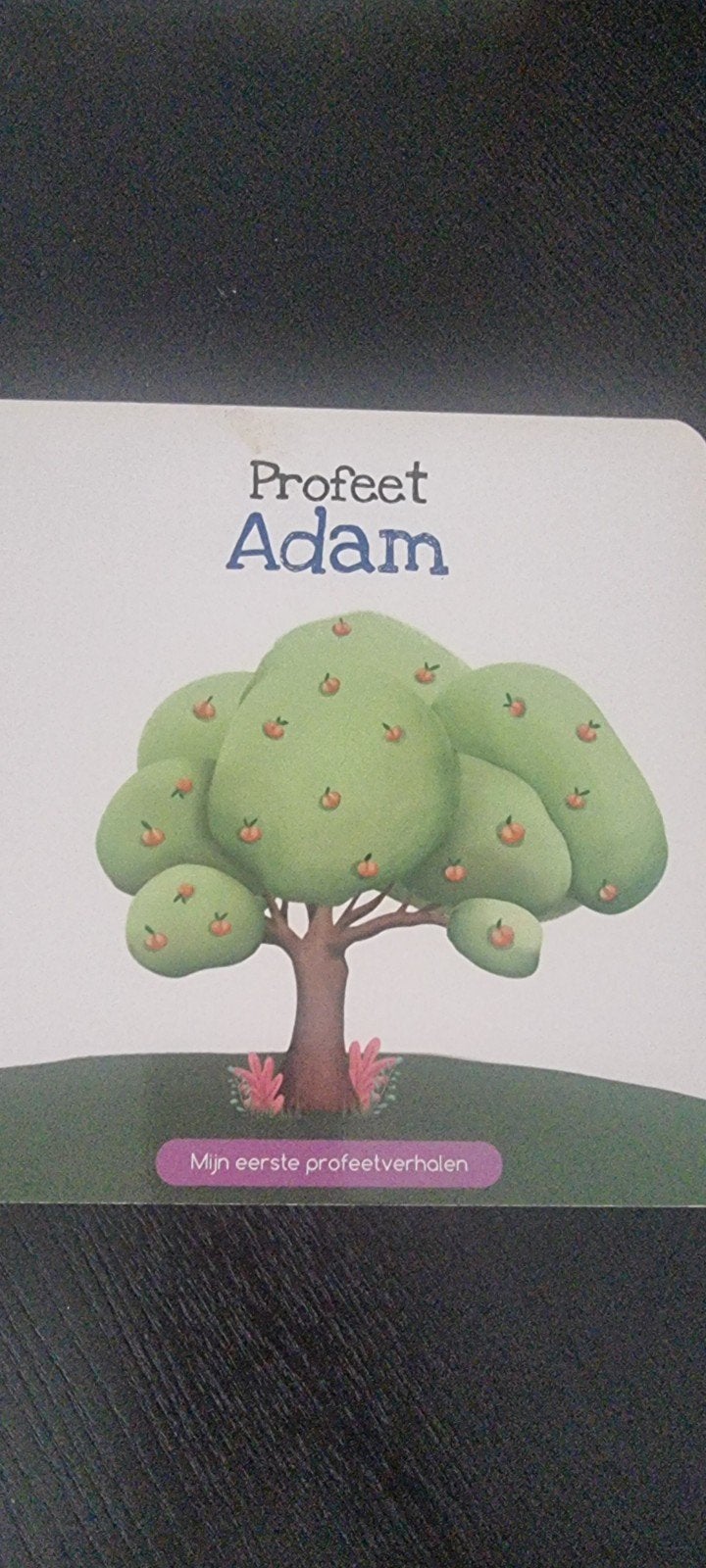 Profeet Adam - Mijn eerste profeetverhalen (Nieuw), Ophalen of Verzenden, Nieuw, Najat Chokur, 0 tot 6 maanden