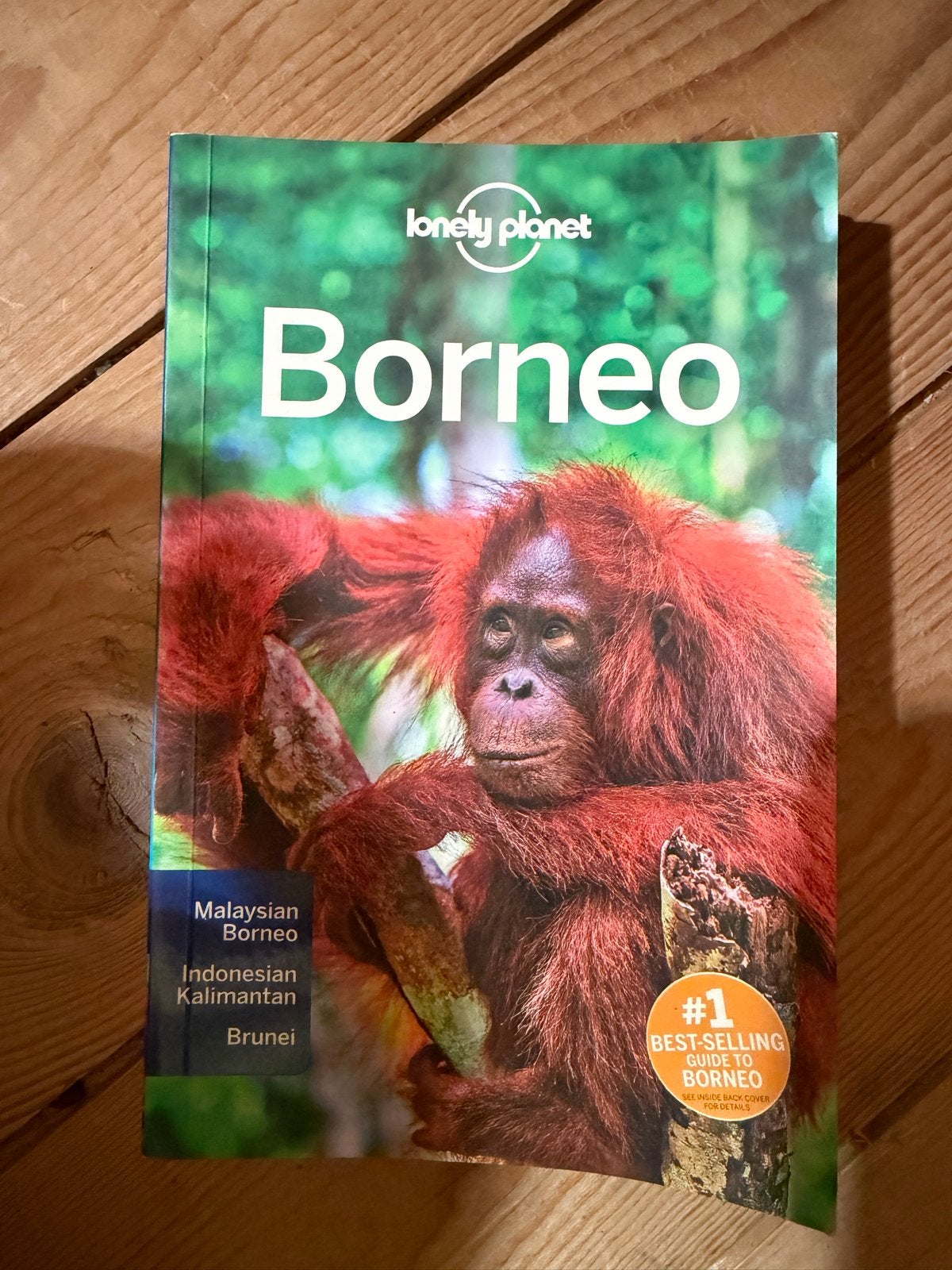 Lonely Planet Borneo Reisgids, Boeken, Lonely Planet, Ophalen of Verzenden, Zo goed als nieuw, Reisgids of -boek