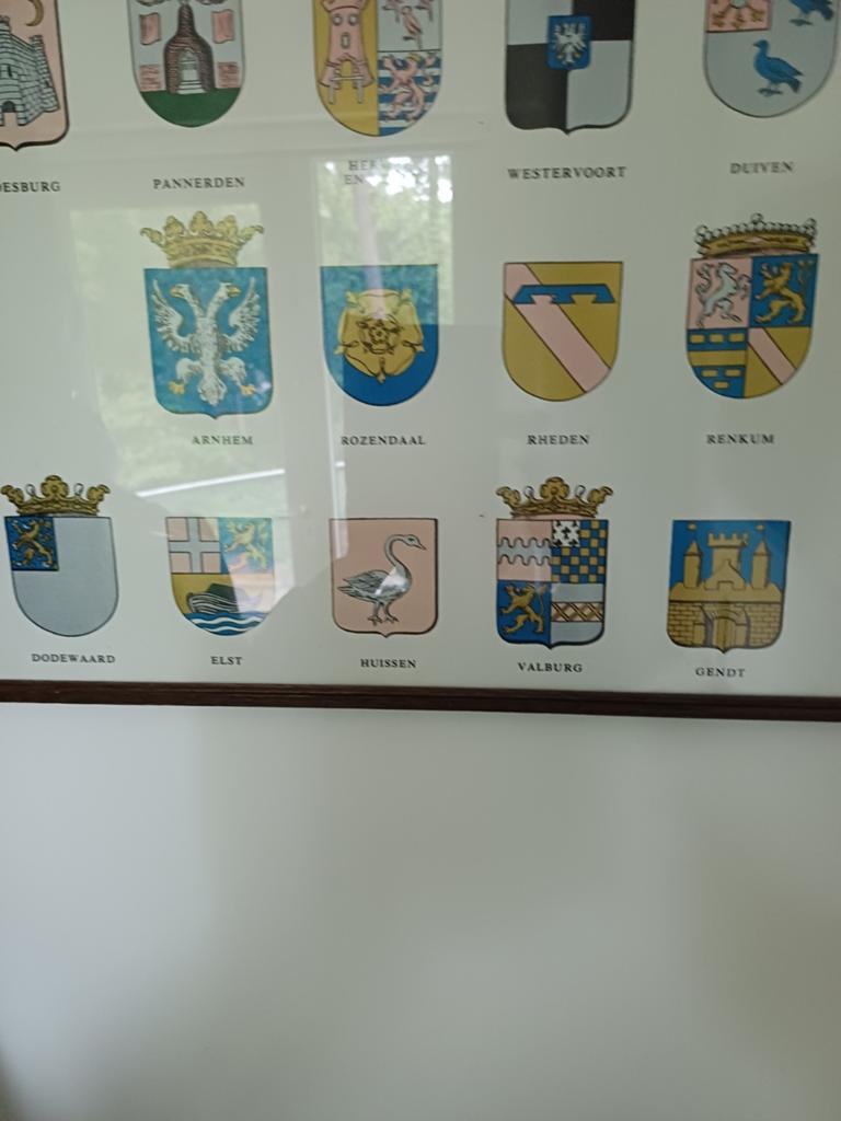 Wapens van de Betuwe - Historische Wanddecoratie, Antiek en Kunst, Ophalen of Verzenden