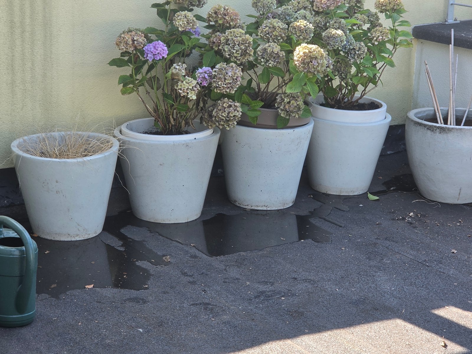 5 winterharde bloempotten zonder planten., Ophalen, 40 cm of meer, Rond, Zo goed als nieuw