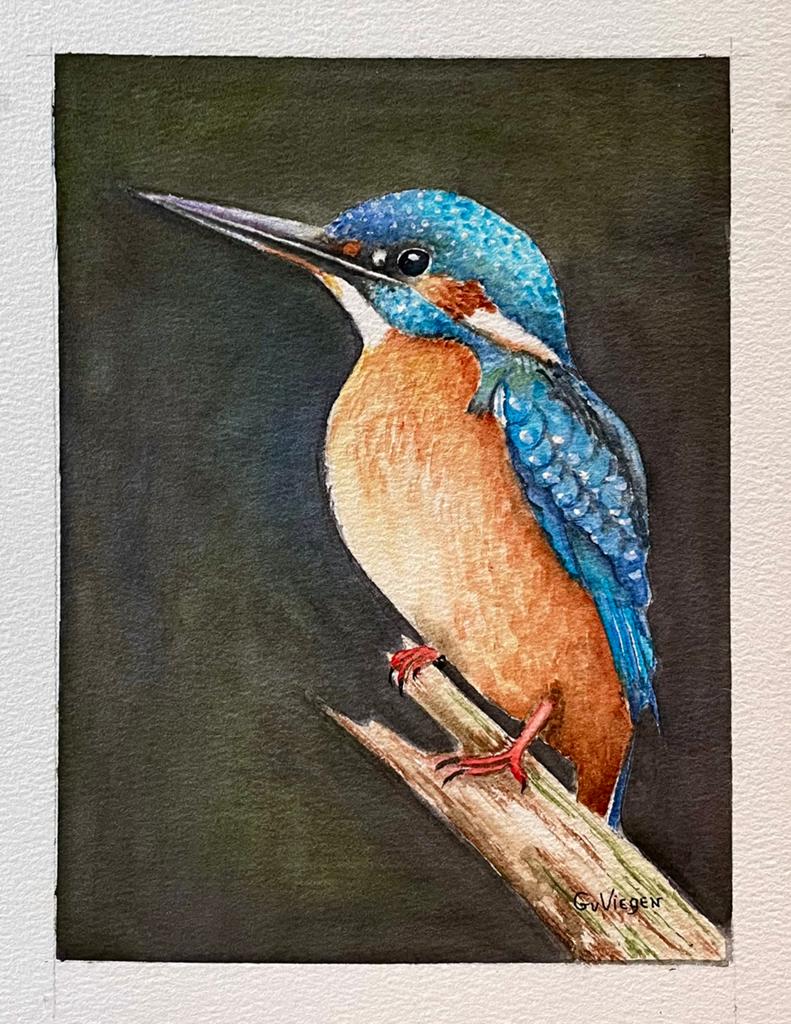 Schilderij IJsvogel, Ophalen of Verzenden
