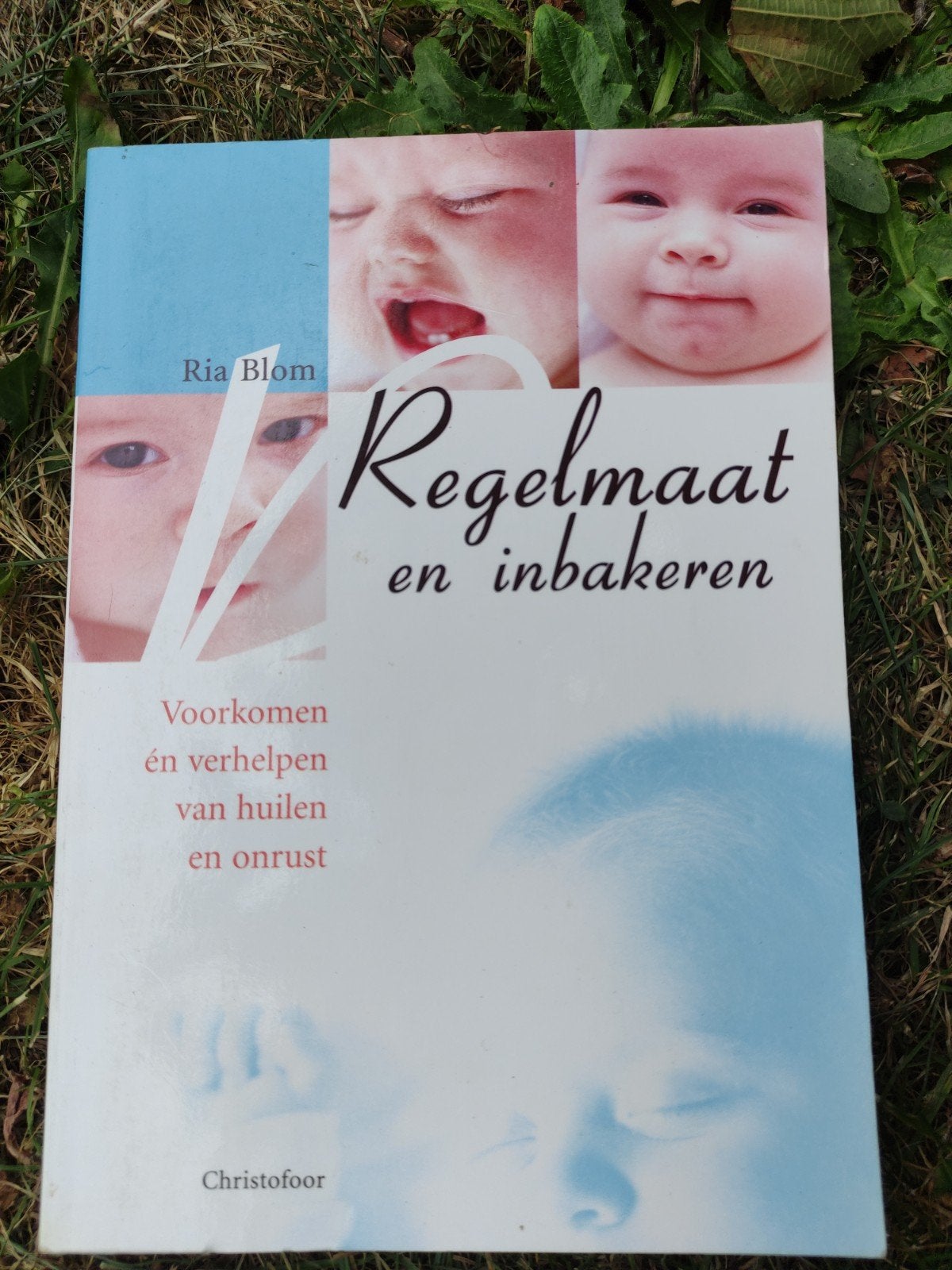 R. Blom - Regelmaat en inbakeren, Ophalen of Verzenden, Gelezen, R. Blom