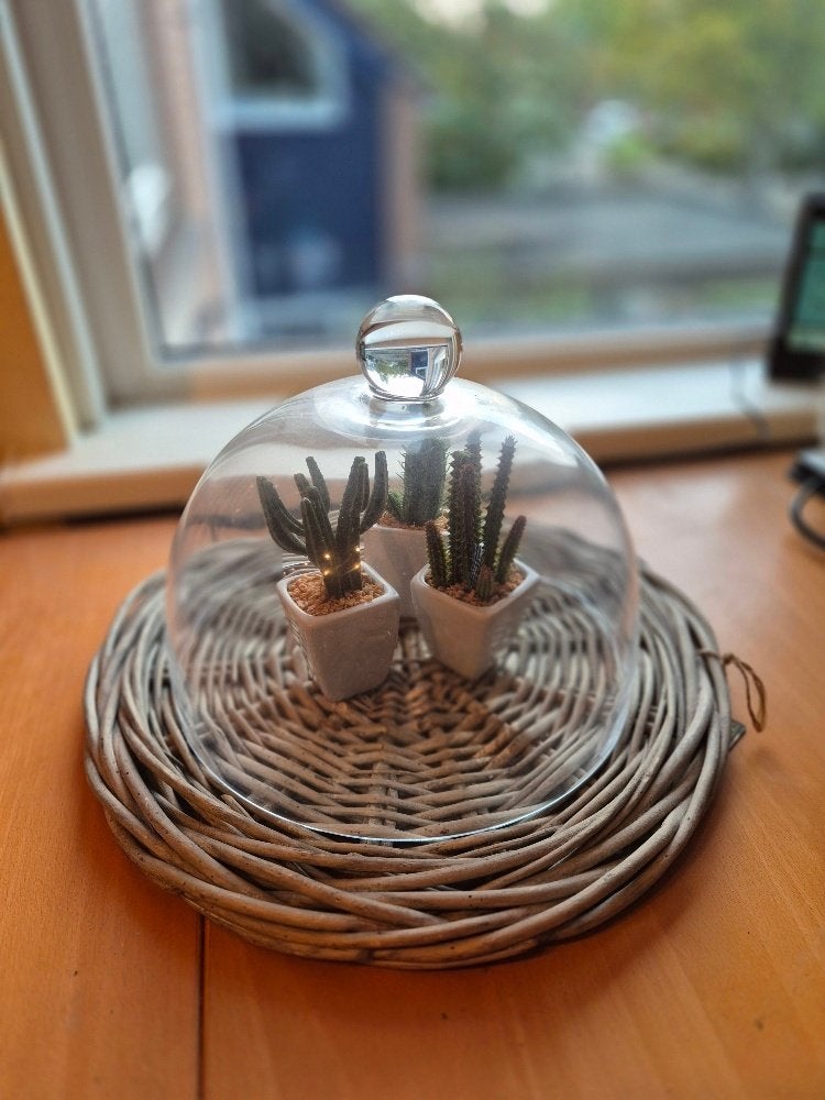 glazen stolp, Ophalen, Gebruikt, Glas, 25 cm