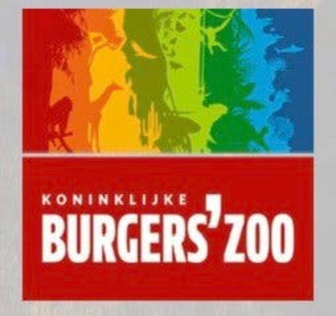 4 tickets Burger Zoo, Tickets en Kaartjes, Drie personen of meer, Ticket of Toegangskaart