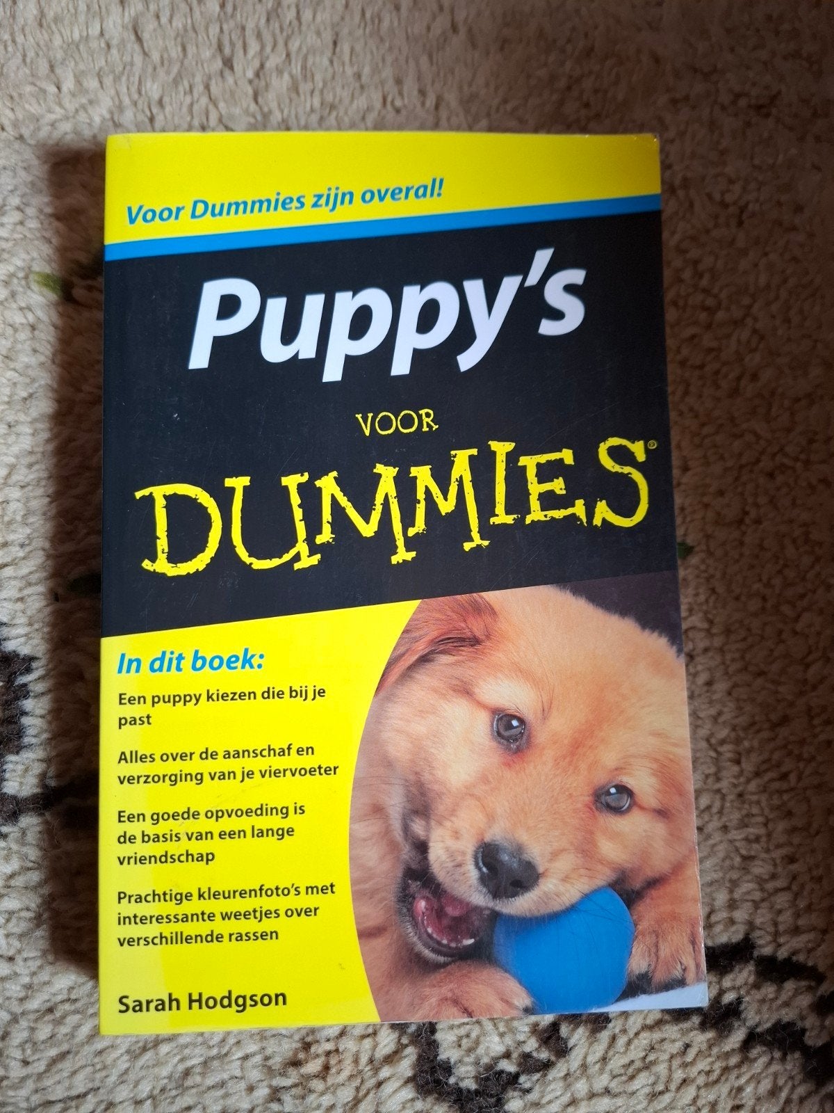 Puppy's voor Dummies - Leer alles over puppy's, Boeken, Ophalen of Verzenden, Gelezen, Honden, Sarah Hodgson