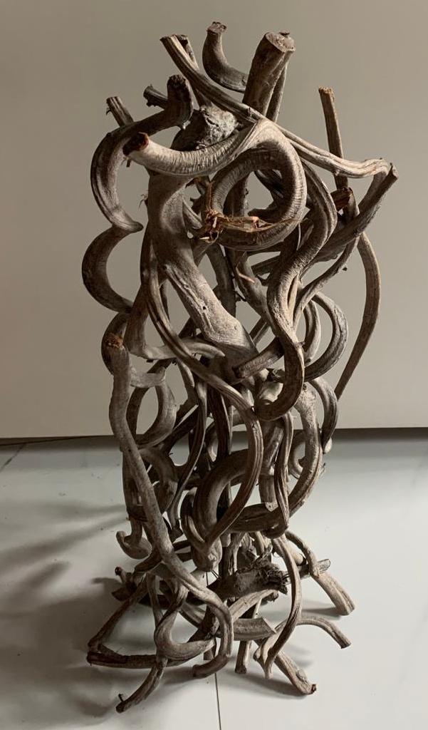 Nieuw kunst boomstam strengen wortel hout sculptuur gedraaid, Ophalen of Verzenden, Houtsnijwerk, Abstract