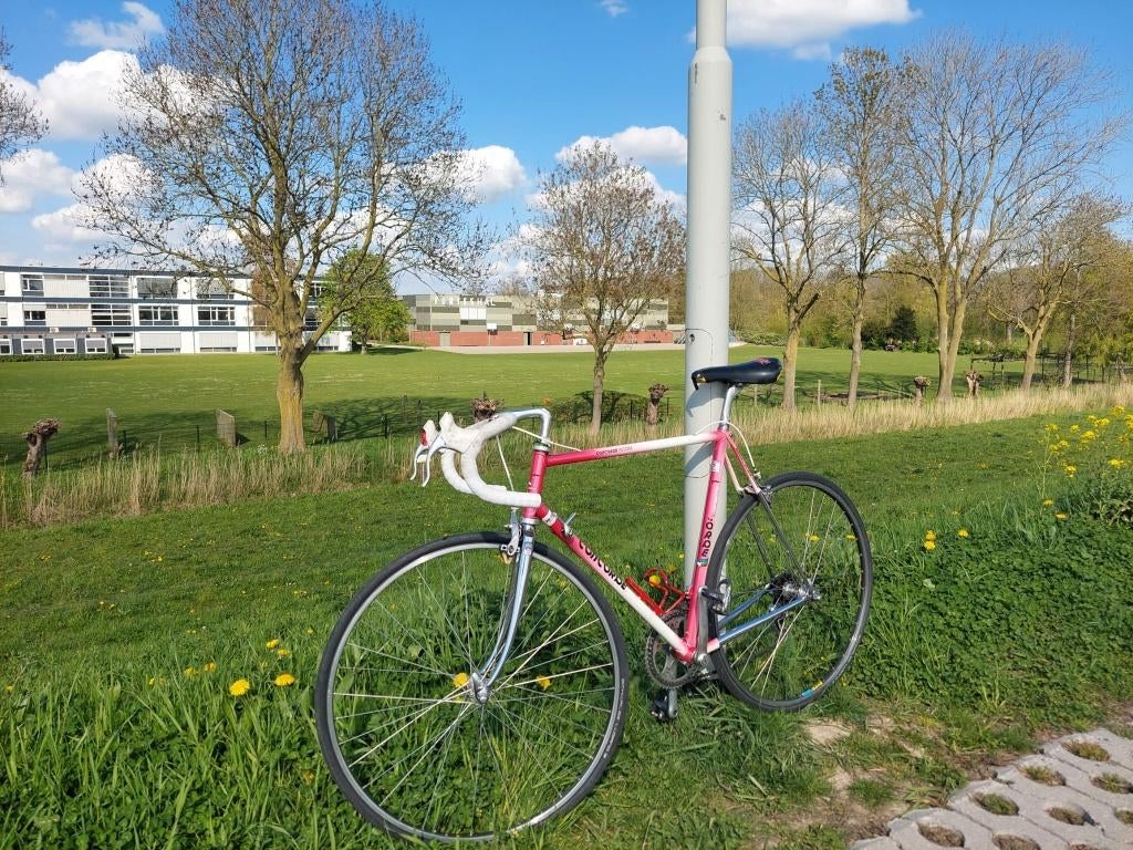 Retro racefiets merk: Concorde Astora 56, Gebruikt, Staal, Heren, 53 tot 57 cm