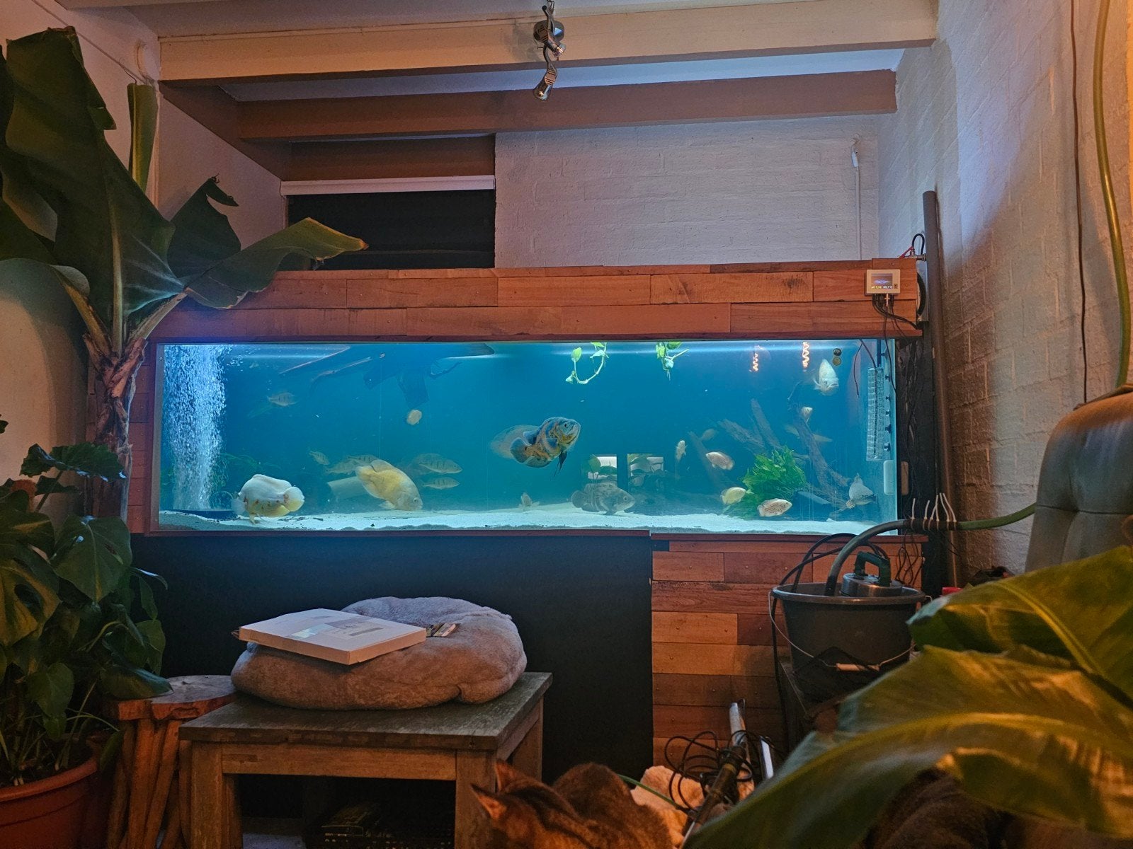 groot aquarium 246x120x80, Dieren en Toebehoren, Ophalen, Inclusief controller, Gebruikt, Leeg aquarium