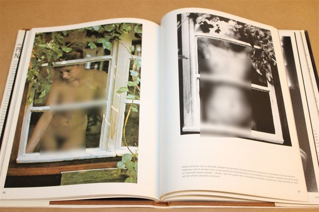 Perfecte Naaktfotografie — Vrouwelijk Lichaam en Techniek, Ophalen of Verzenden, Gelezen, Fotografen