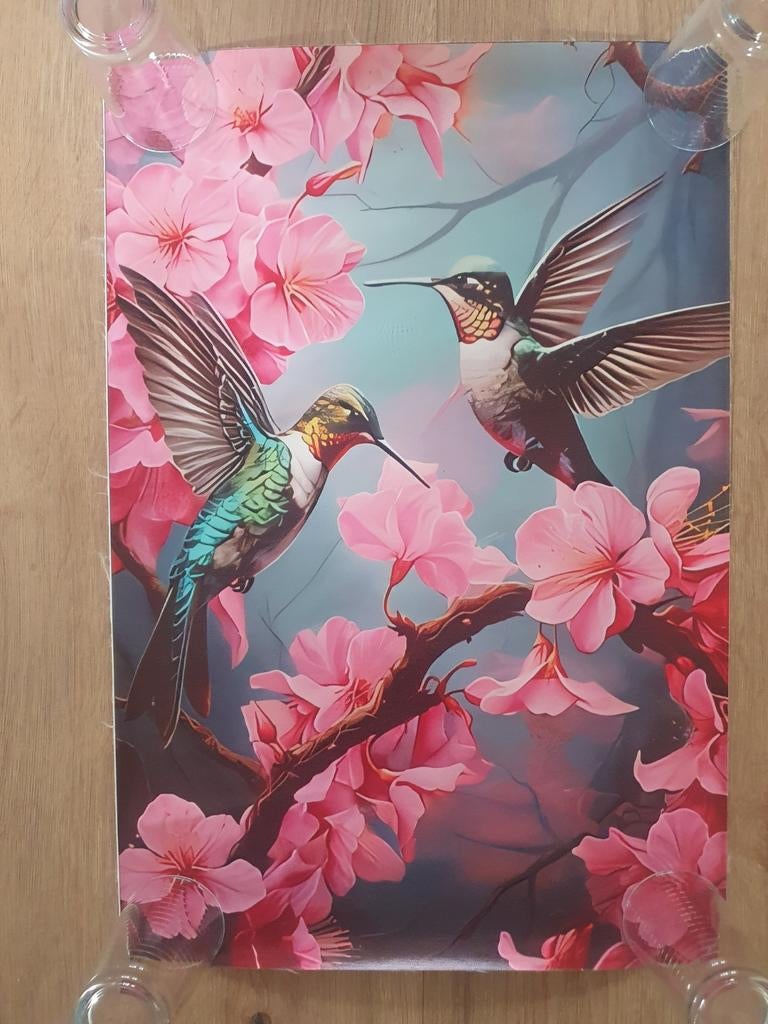 Nieuwe canvas poster 40x60, Ophalen of Verzenden, Nieuw