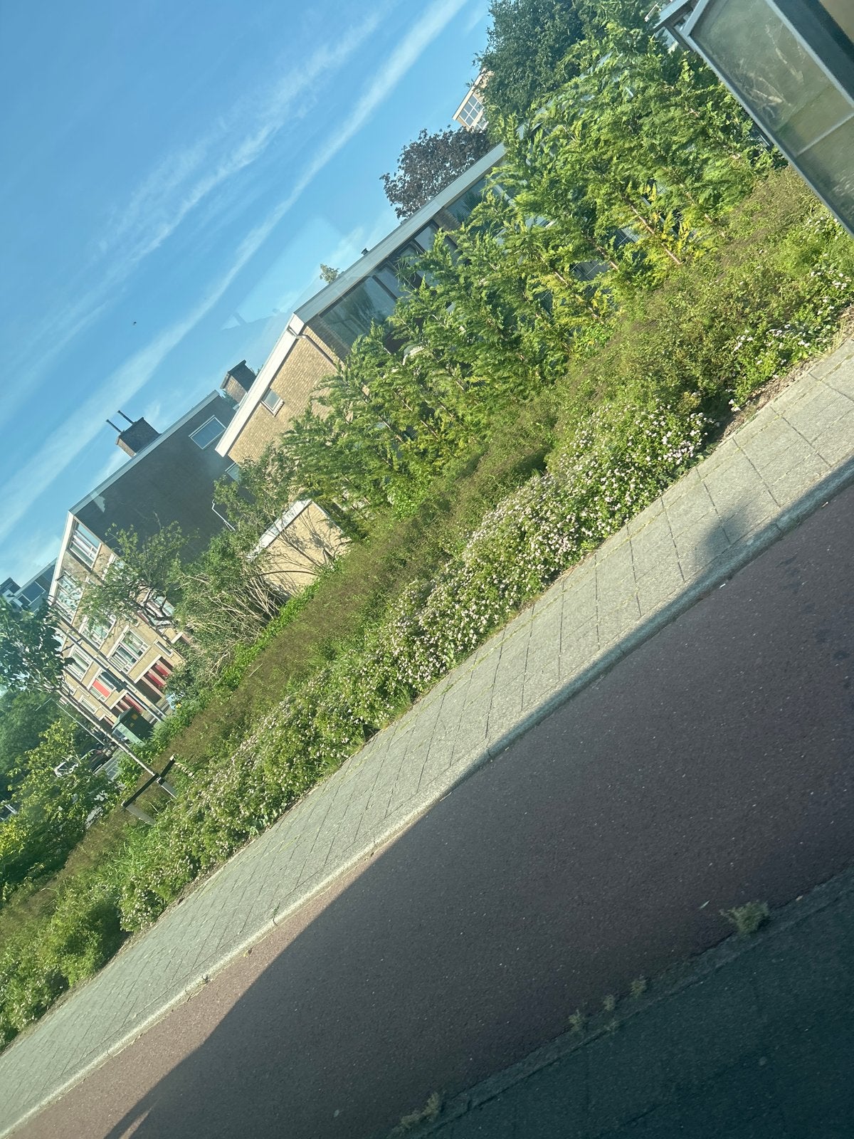 Gezocht: Winkelruimte/Horeca tot 60m² in Zaandam, Amsterdam, Amsterdam