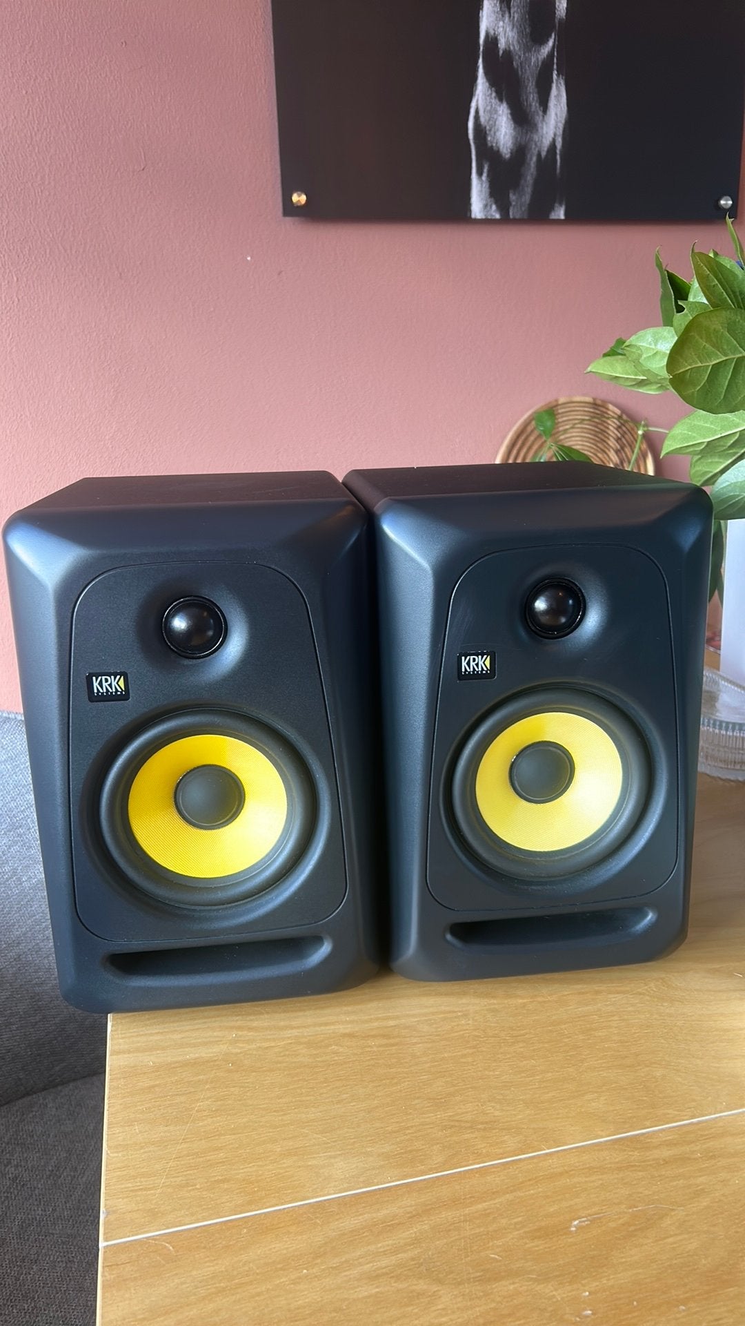 KRK Classic 5 Studiomonitoren (set), Ophalen, Gebruikt, Studiomonitor, KRK