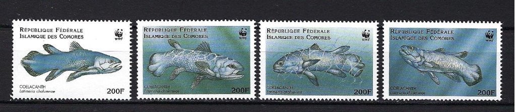 WWF Comores Mi. 1261/1264 Postfris (Vissen), Ophalen of Verzenden, Postfris, Dier of Natuur