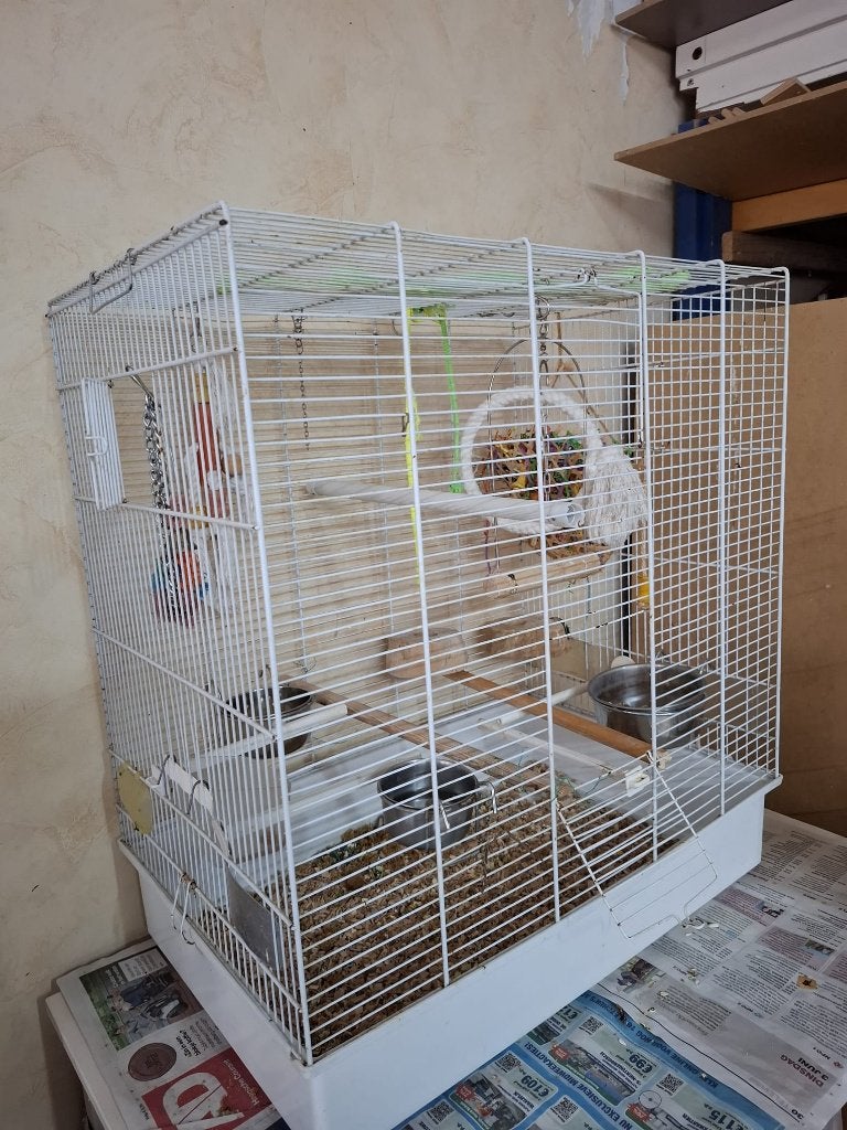 vogel kooi voor Grasparkieten, Ophalen, Zo goed als nieuw, Metaal, Vogelkooi