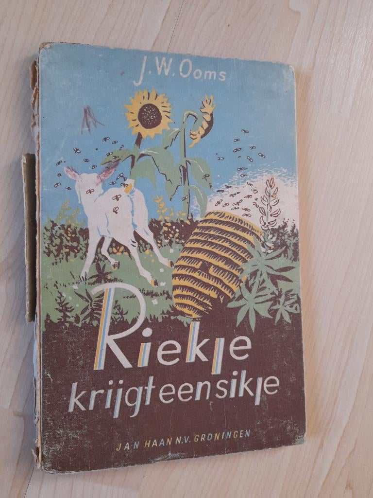 RIEKJE KRIJGT EEN SIKJE  JW Ooms, Boeken, Ophalen of Verzenden, Gelezen, Sprookjes