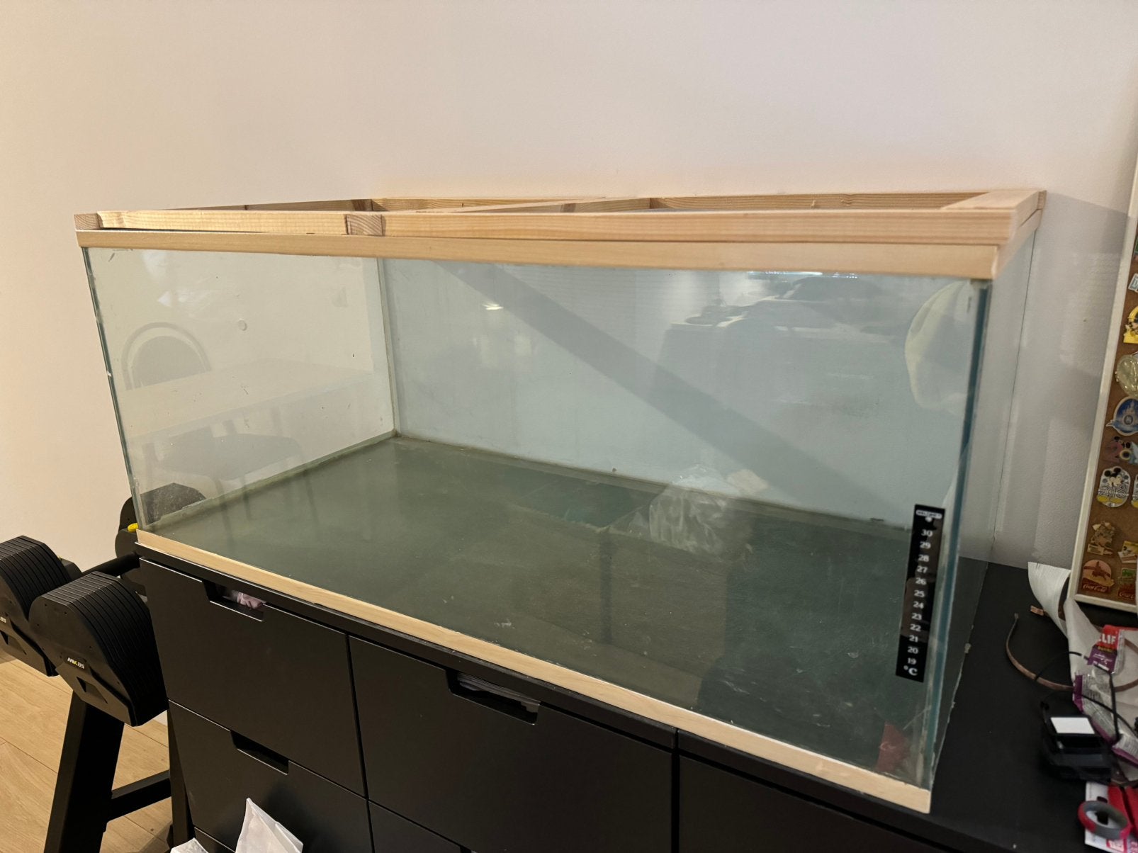 Glazen kooi 99x50x40 voor hamsters en knaagdieren, Dieren en Toebehoren, Kooi, Gebruikt, Hamster, 75 tot 110 cm