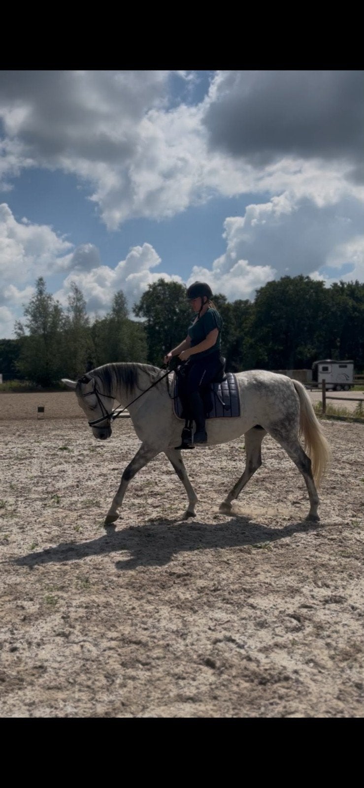 NIEUW! 5 Steren huisje gezocht voor Cupido., Dieren en Toebehoren, Paarden, Minder dan 160 cm, B, 7 tot 10 jaar, Recreatiepaard