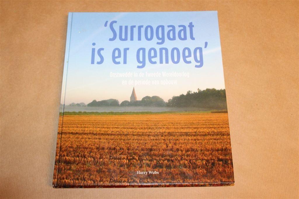 Surrogaat is er Genoeg — Onstwedde in de 2e Wereldoorlog, Ophalen of Verzenden, Gelezen