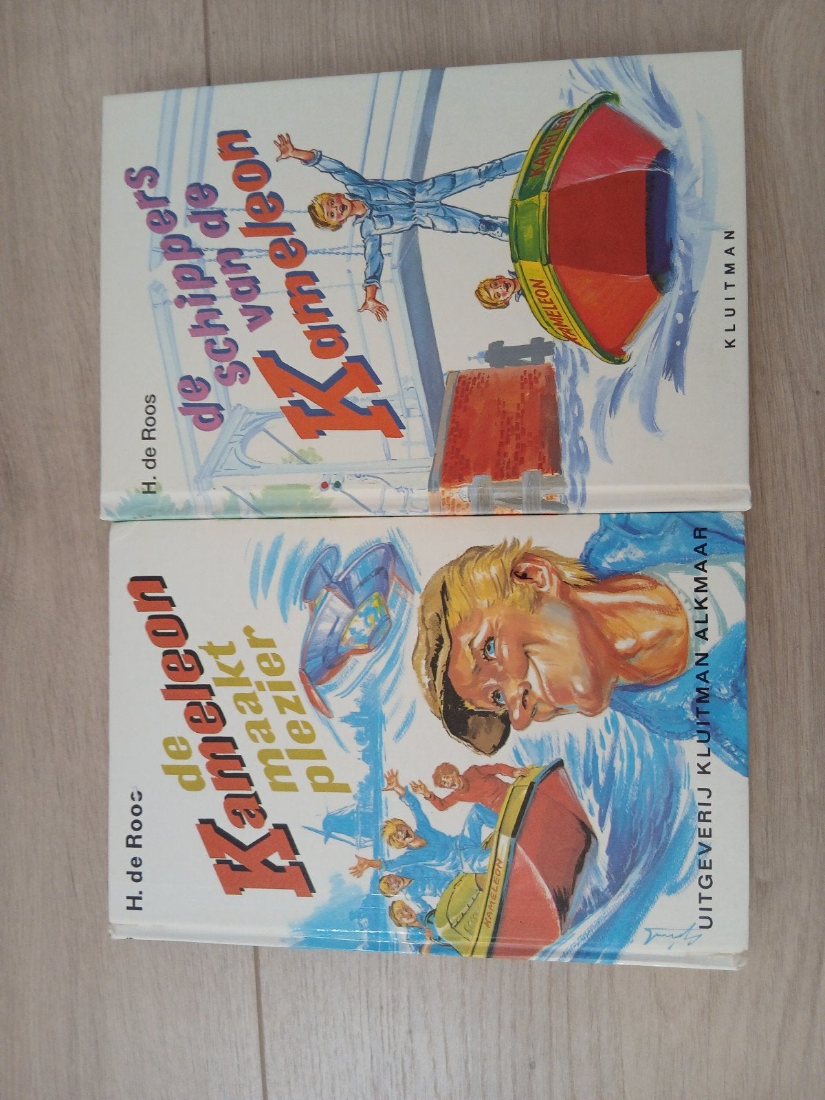 heel veel oude kameleons, Ophalen, Zo goed als nieuw, H. de Roos, Fictie