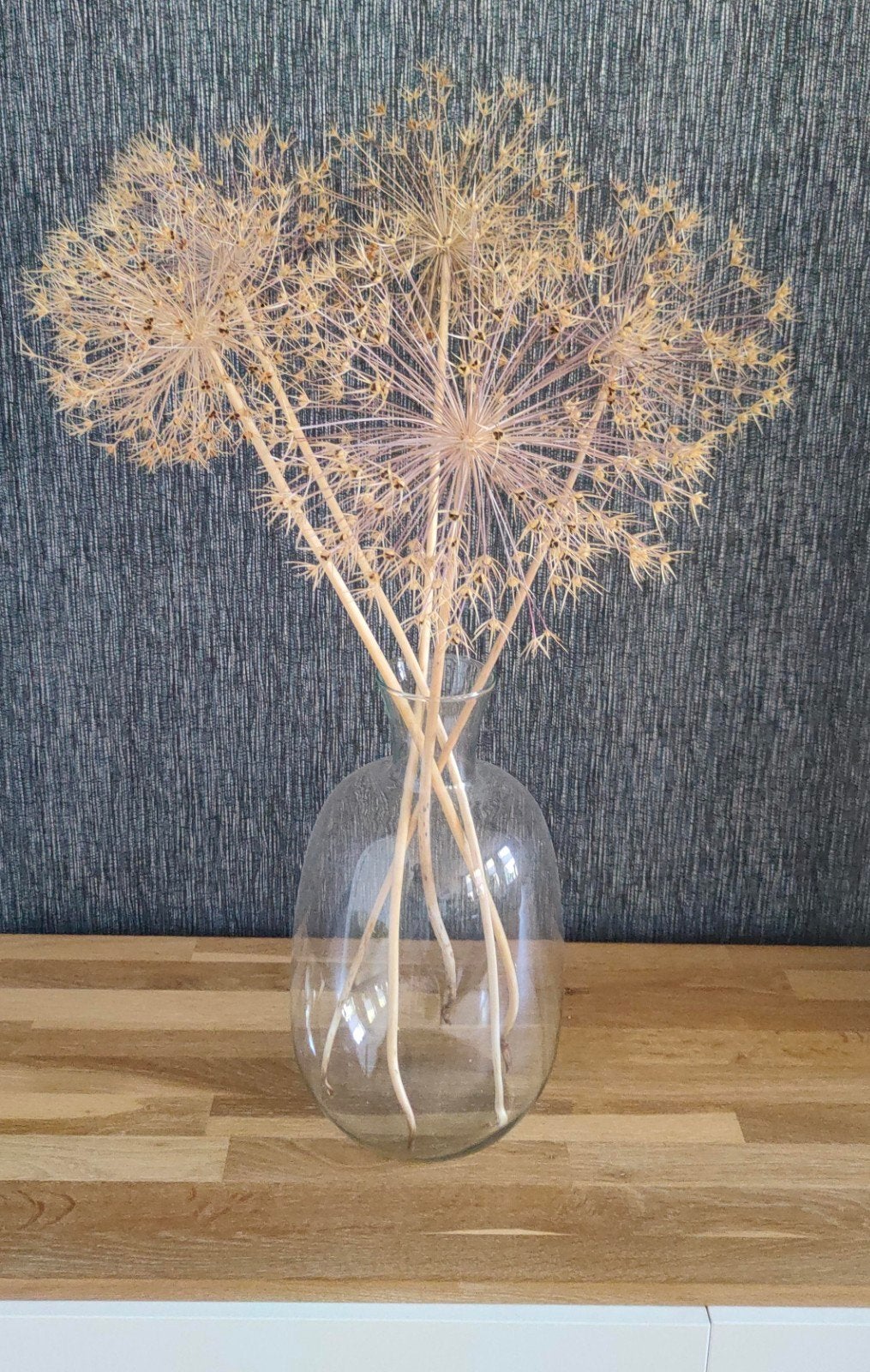 Grote gedroogde bollen Allium bloemen 76 cm hoog, zonder vaa, Huis en Inrichting, Ophalen, Zo goed als nieuw