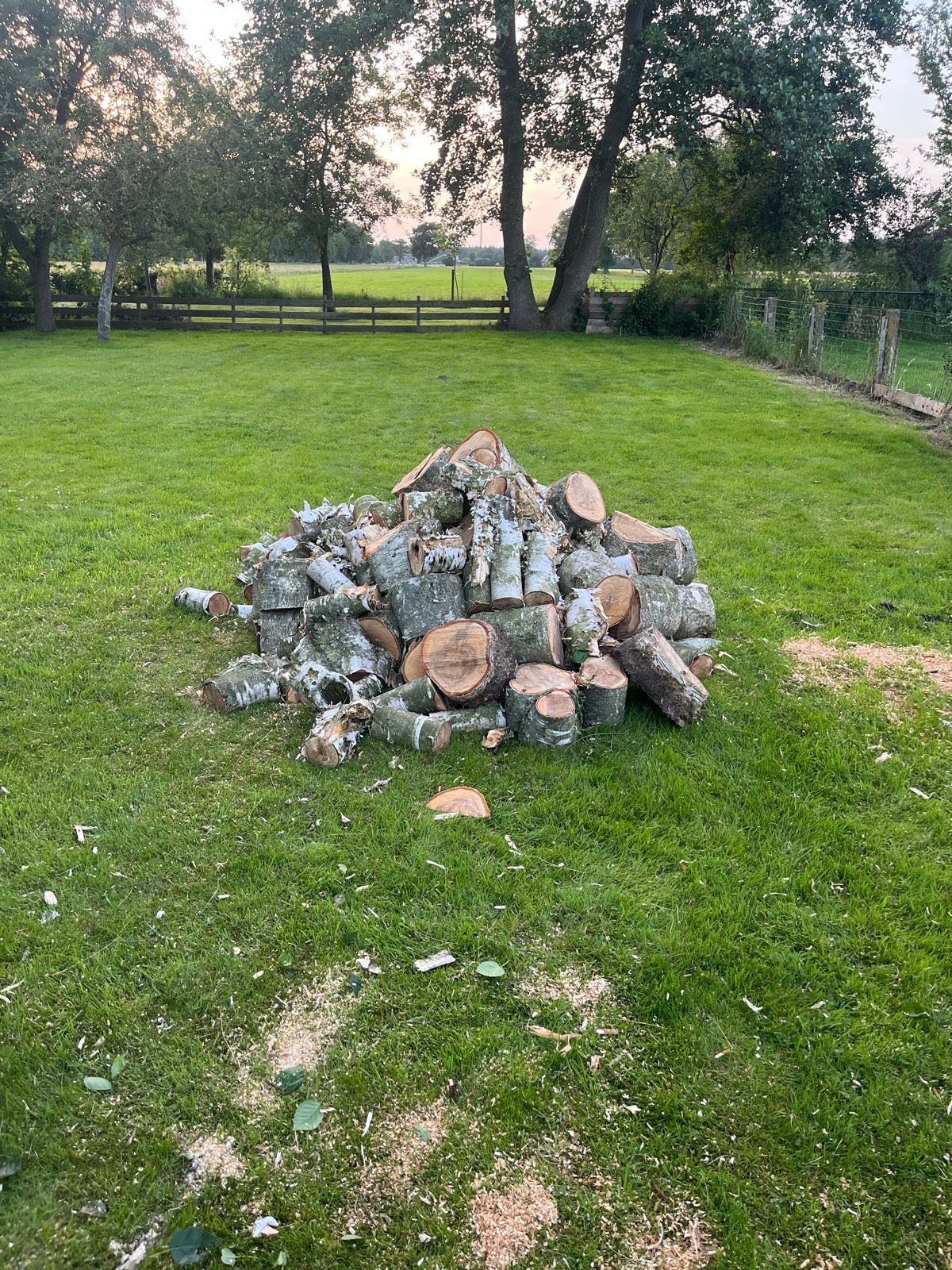 Partij Berkenhout, Tuin en Terras, Haardhout, Minder dan 3 m³, Ophalen, Berkenhout, Blokken