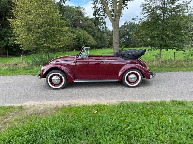 Volkswagen Kever Cabriolet 1600 Bouwjaar 1967, foto 3