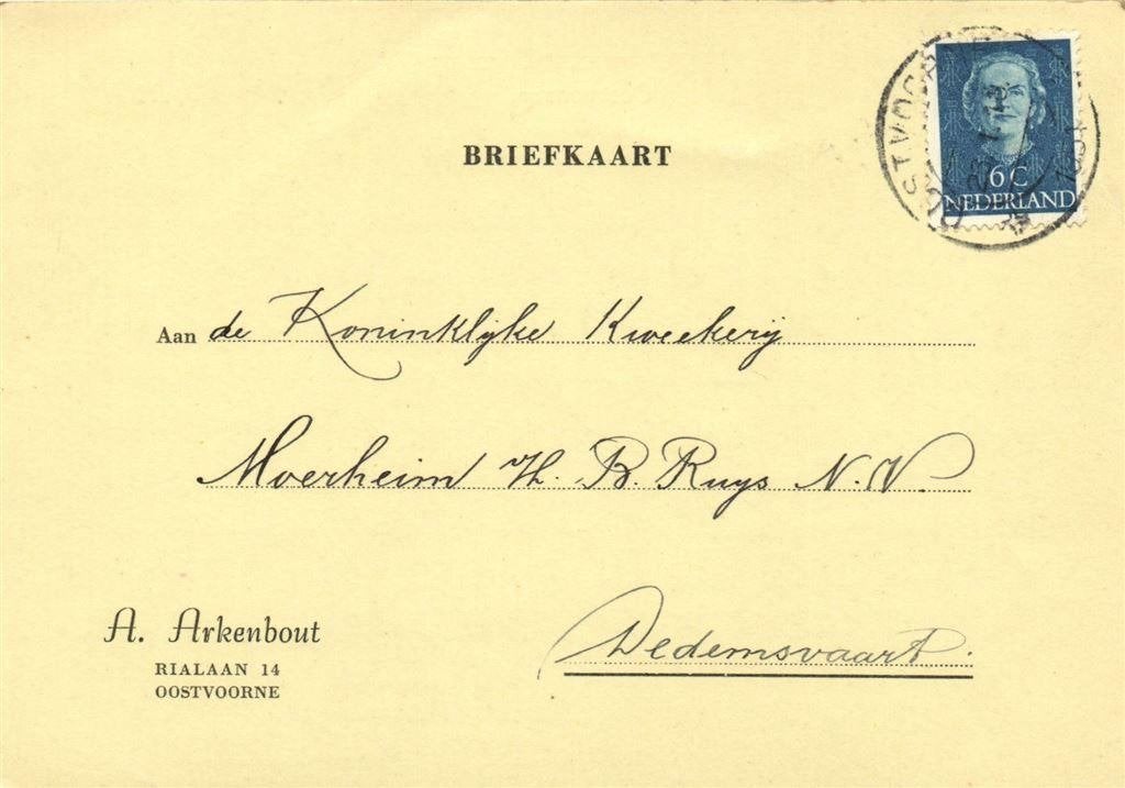 A. Arkenbout, Oostvoorne - 01.1951 - briefkaart - 1951 gesch, Ophalen of Verzenden, Briefkaart