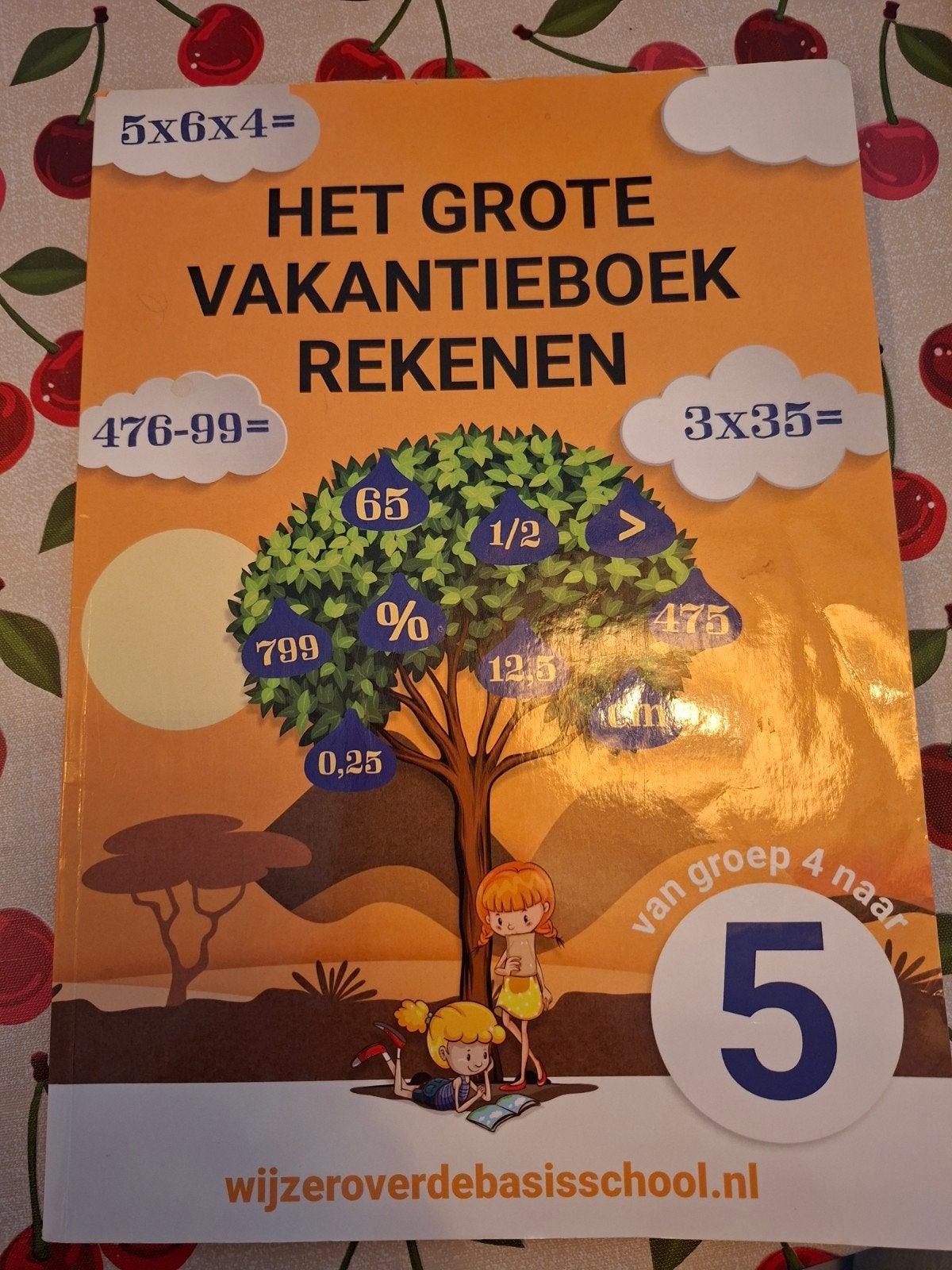 Het grote vakantieboek rekenen - Van groep 4 naar groep 5, Boeken, Ophalen of Verzenden, Zo goed als nieuw, Overige niveaus, Nederlands